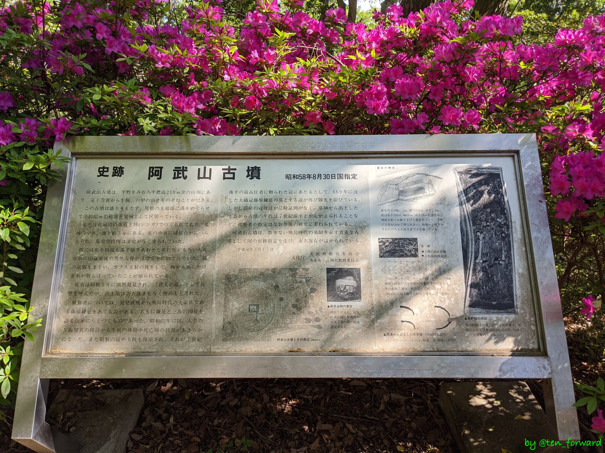 阿武山古墳案内板