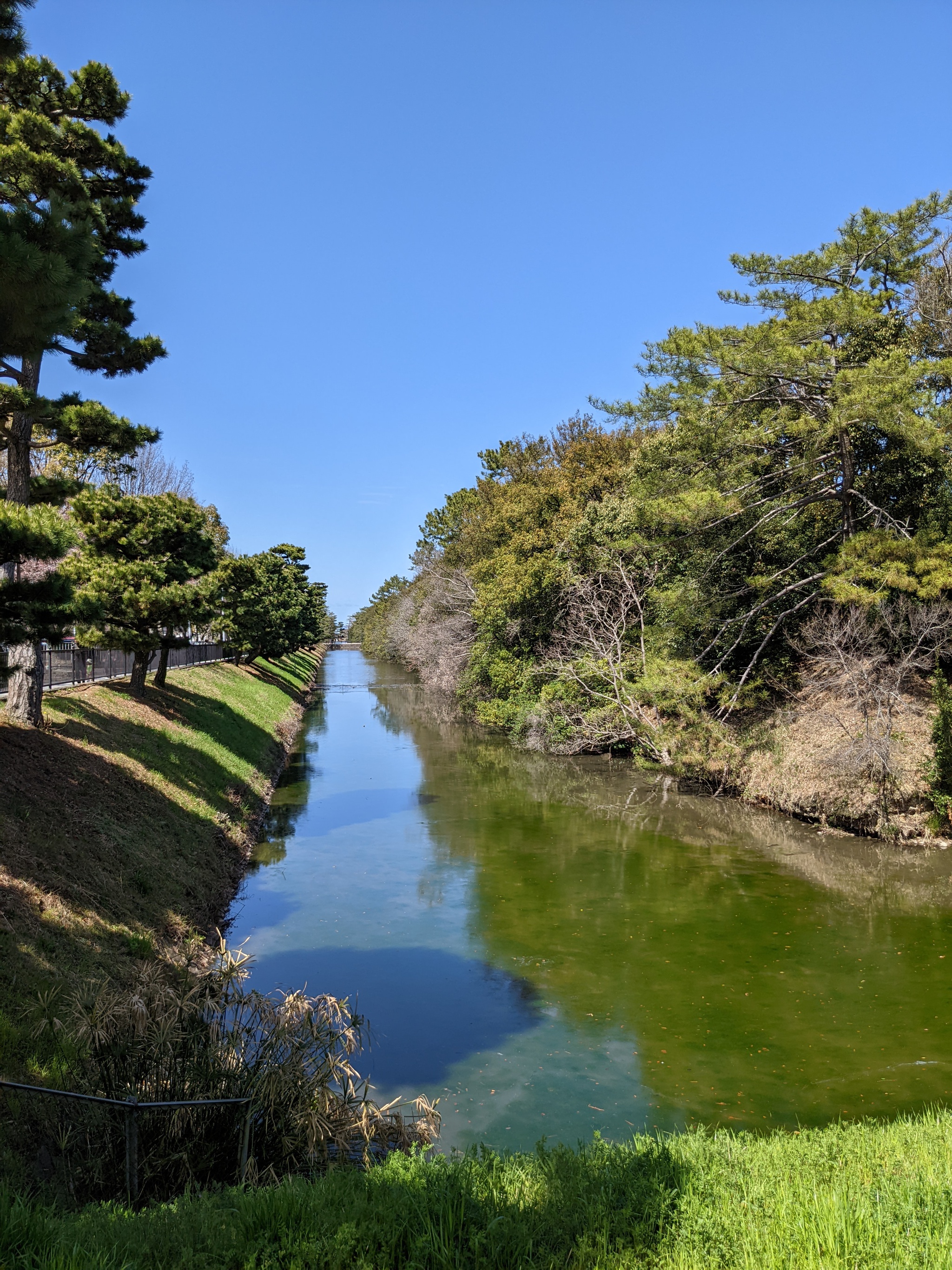 仁徳天皇陵古墳（三国ヶ丘から百舌鳥駅に向かう途中）