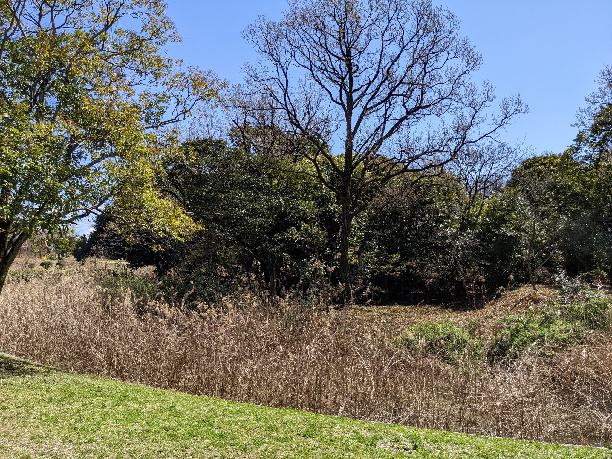 グワショウ坊古墳