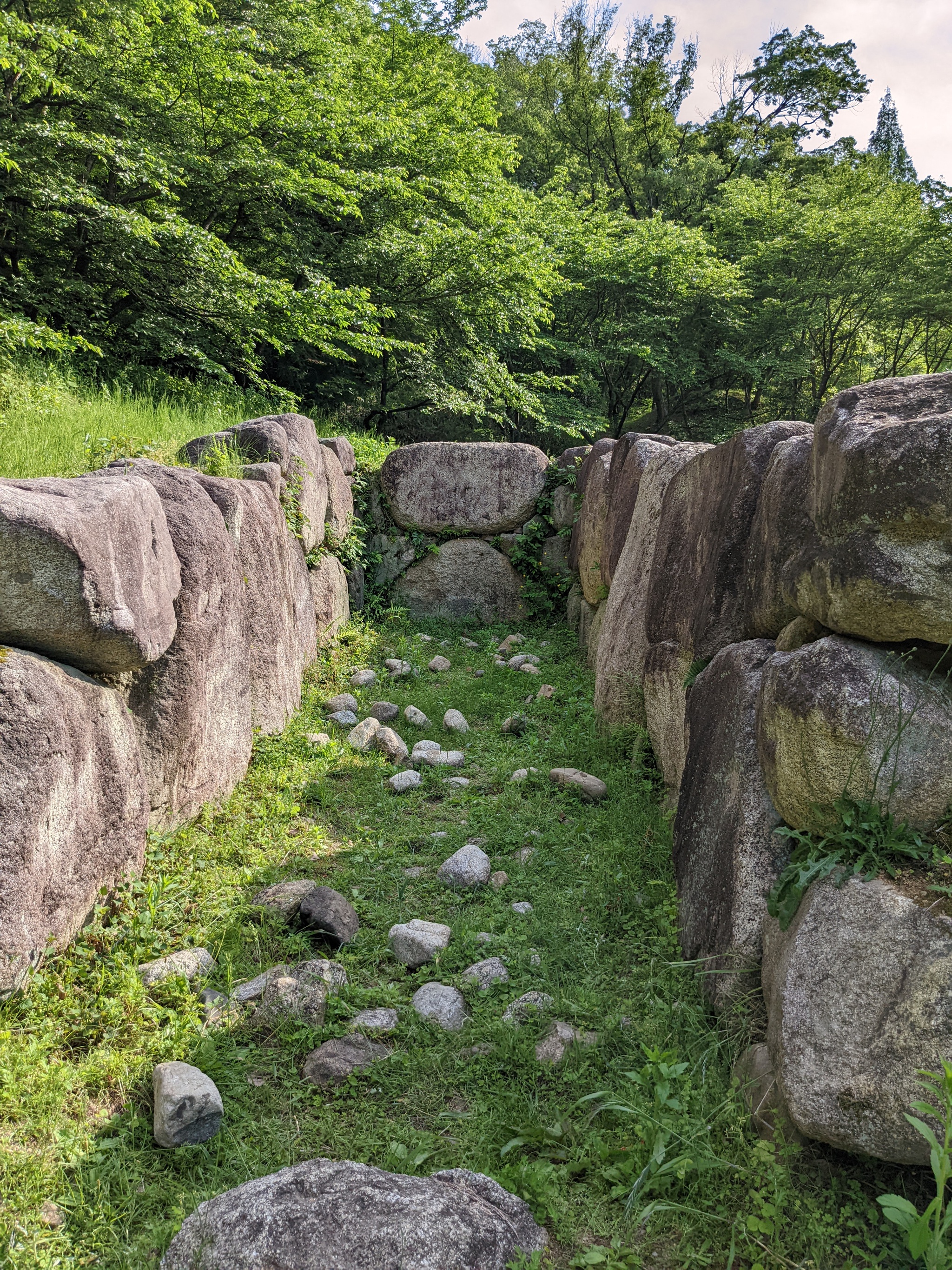 寛弘寺45号墳