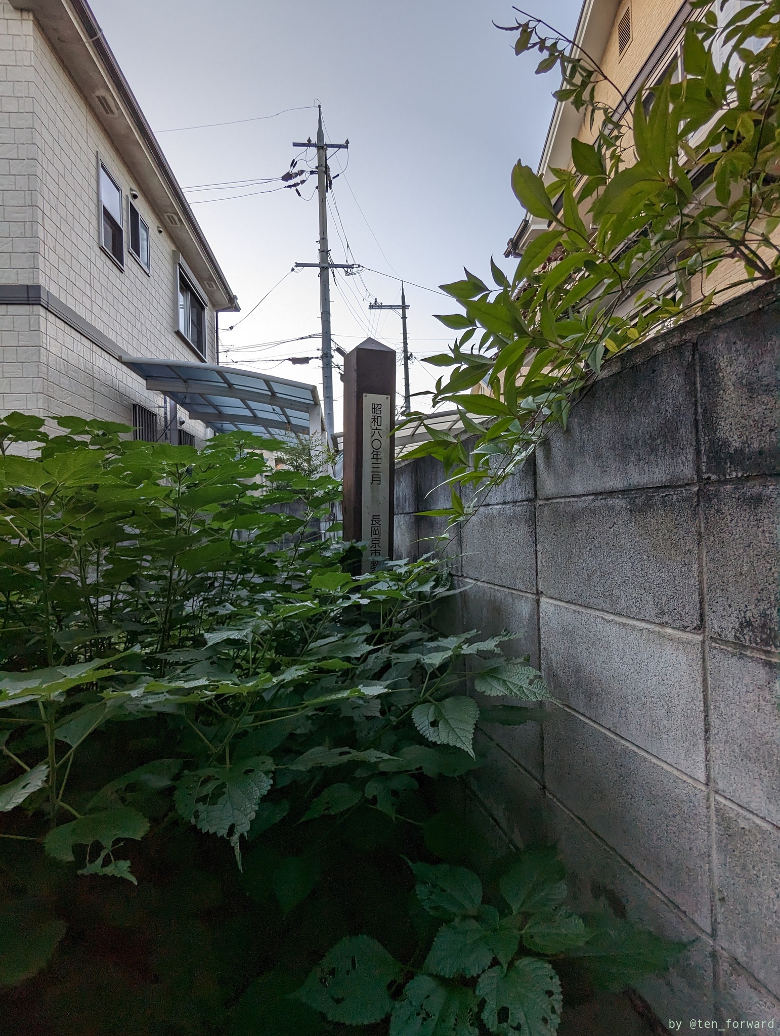 長法寺七ツ塚古墳群2号墳