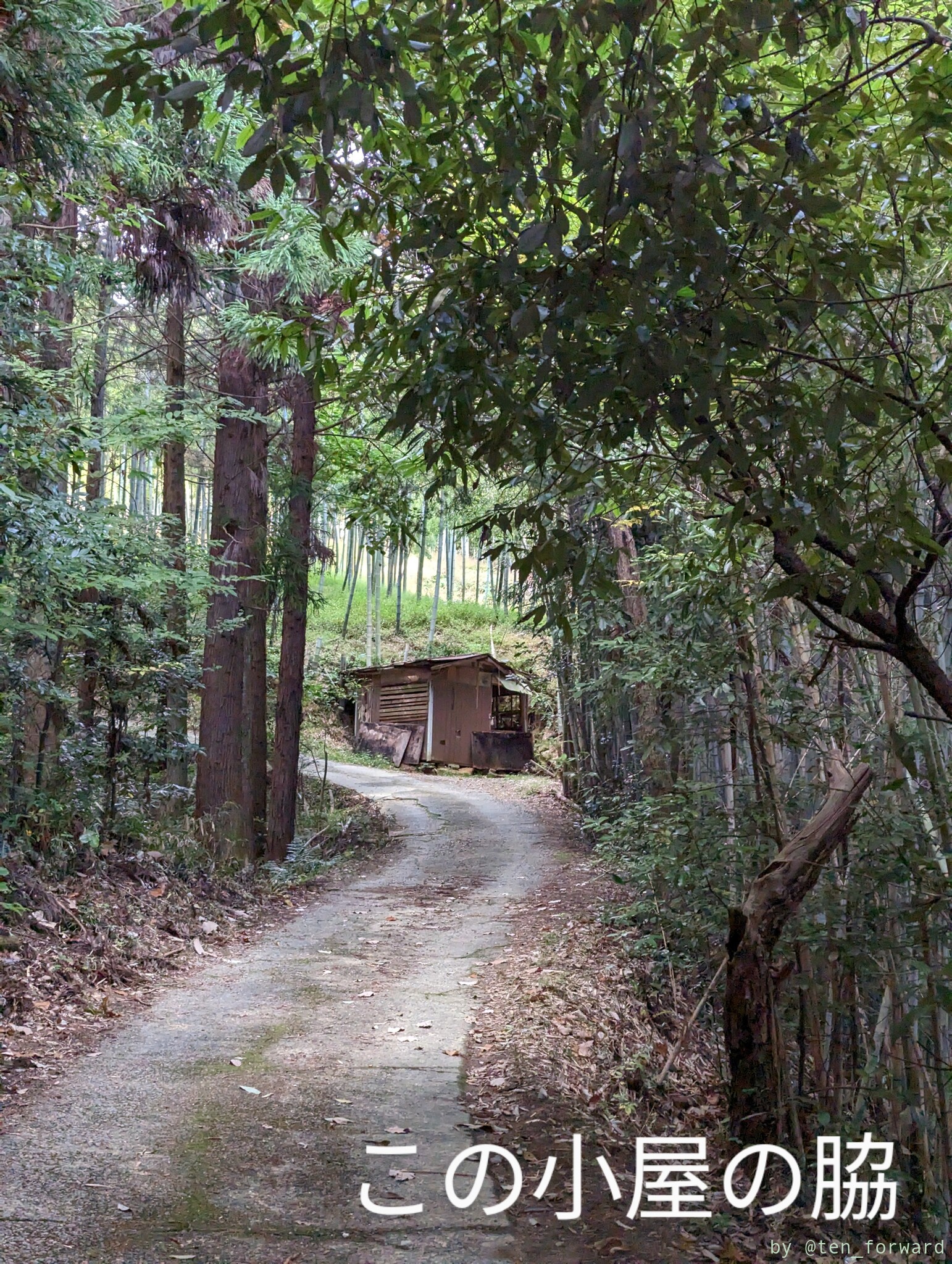 古墳脇の小屋