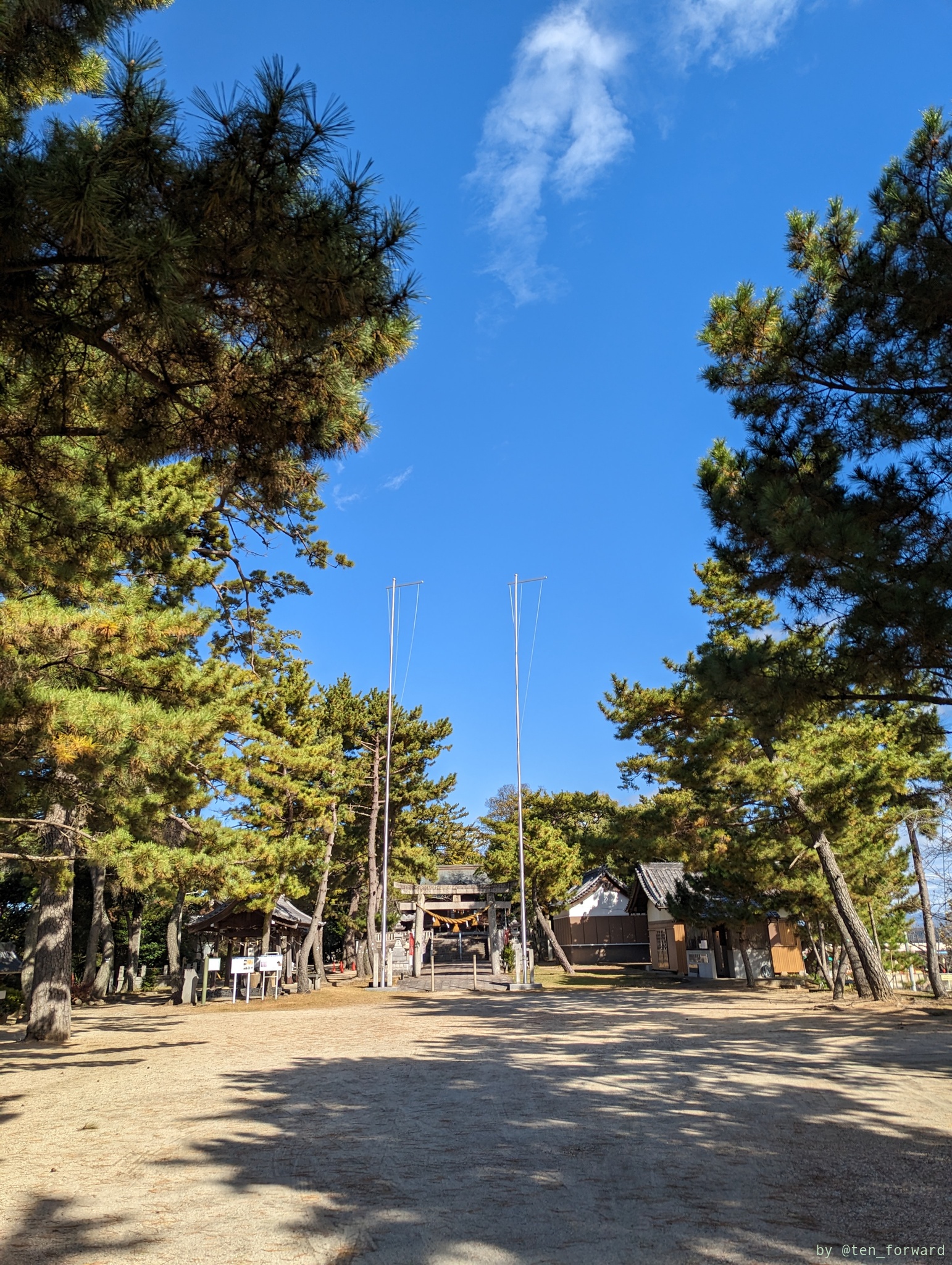 桜井神社