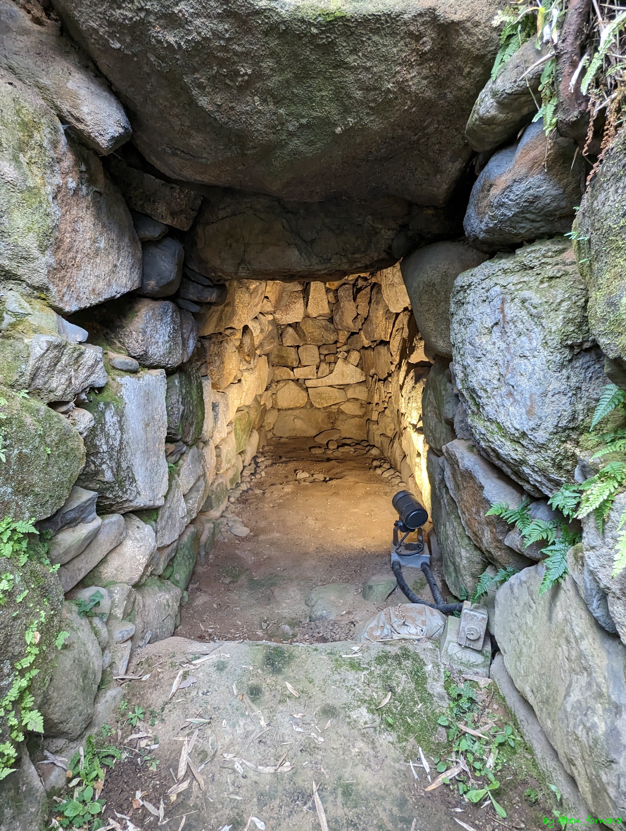 東谷山白鳥古墳石室