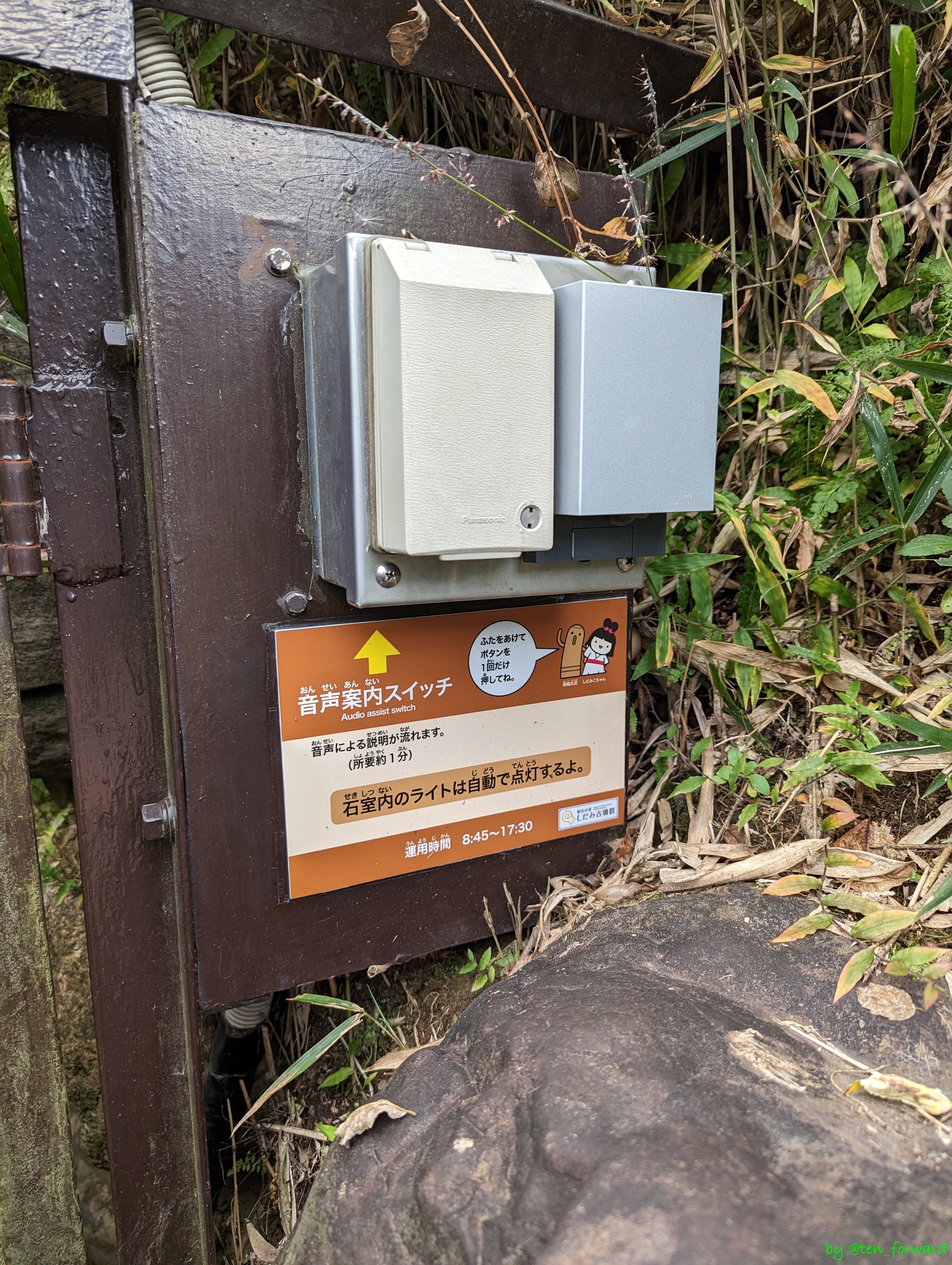 東谷山白鳥古墳