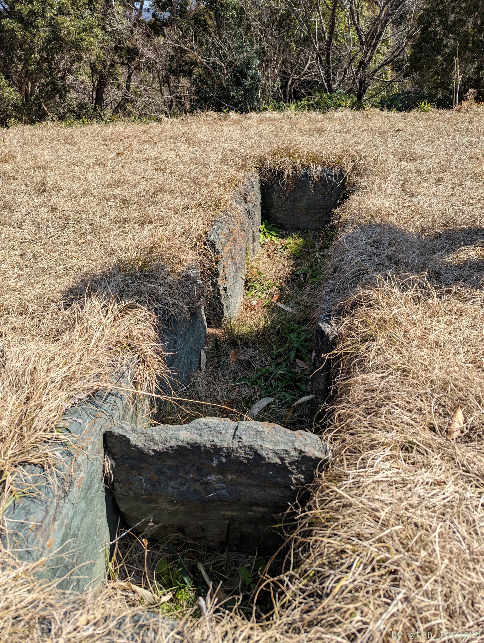 前山A17号墳