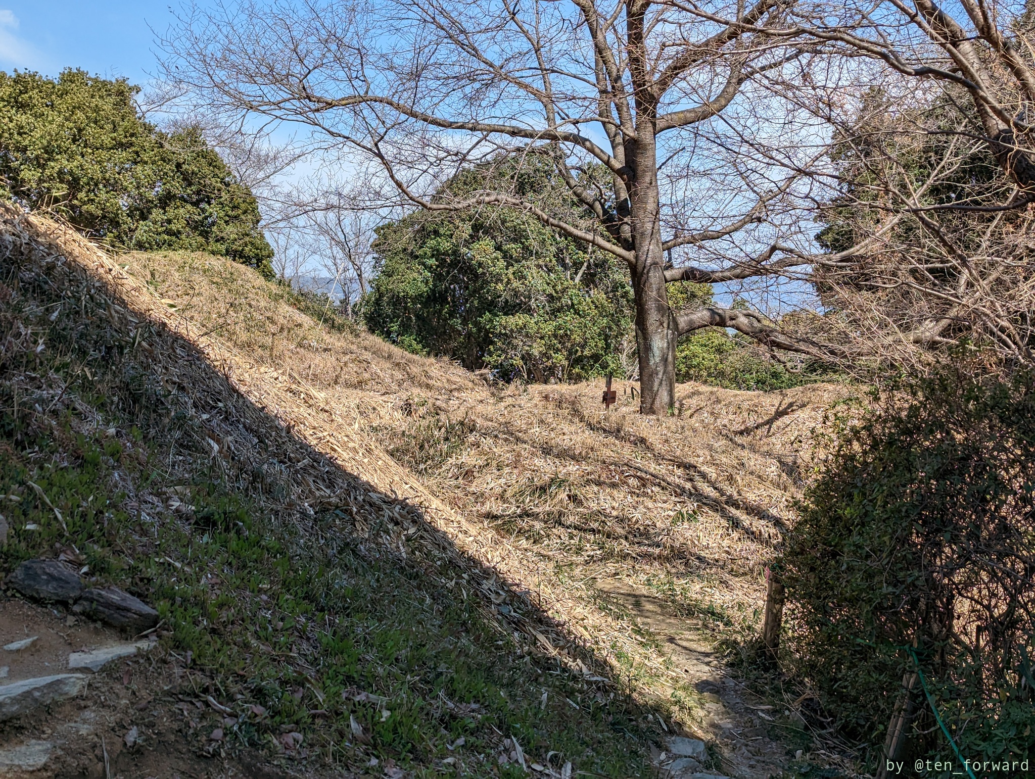 前山A67号墳