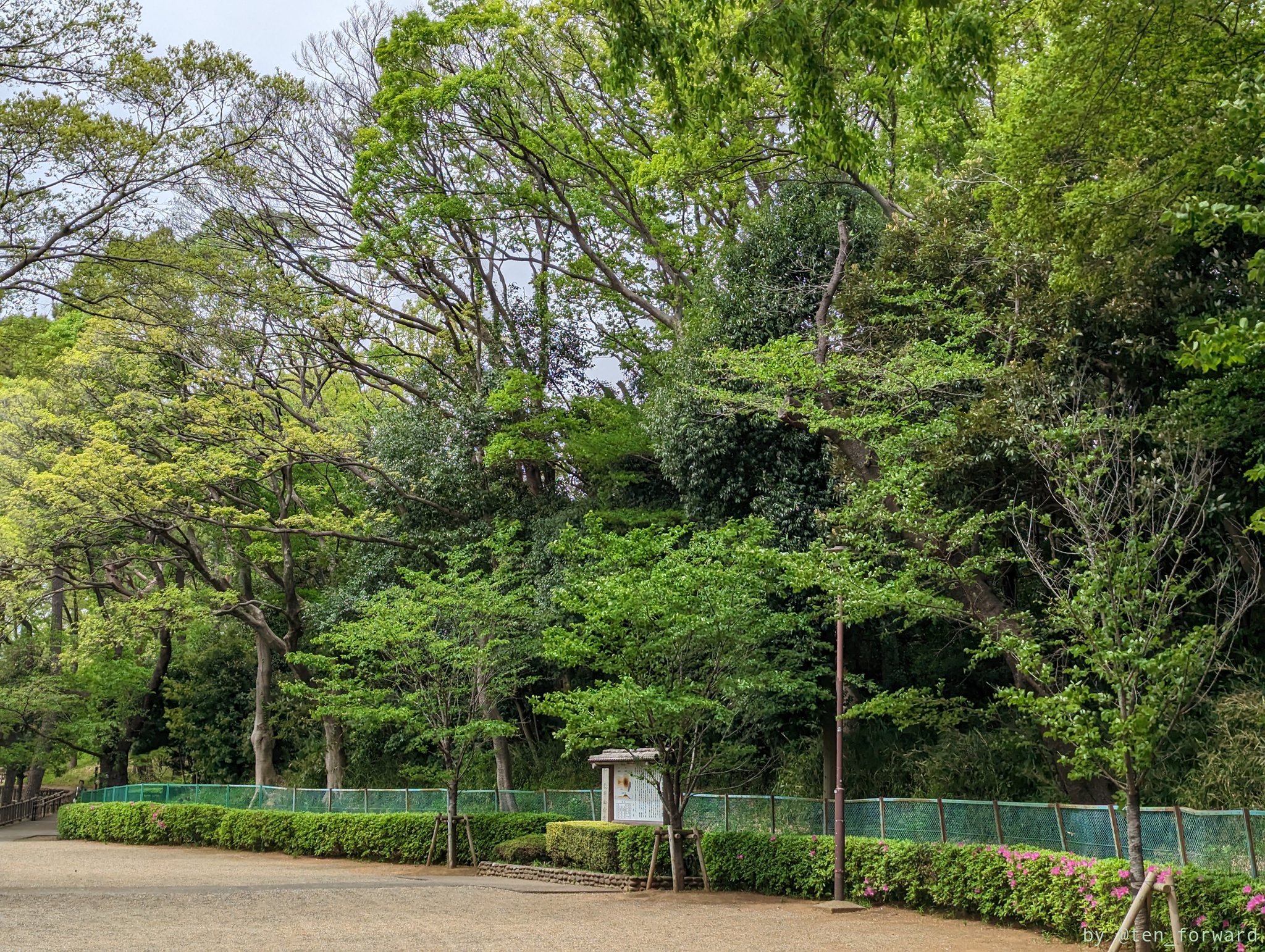 亀甲山古墳