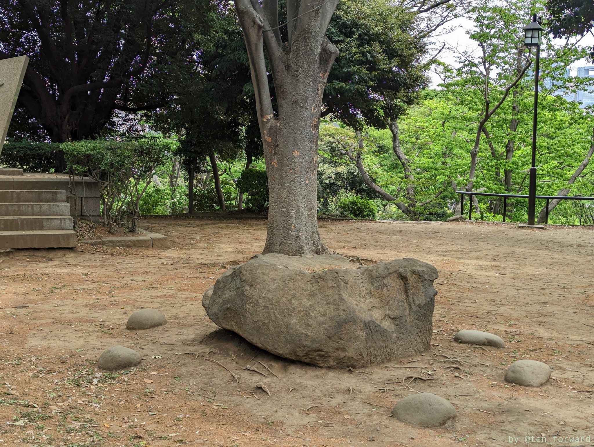 芝丸山古墳後円部上