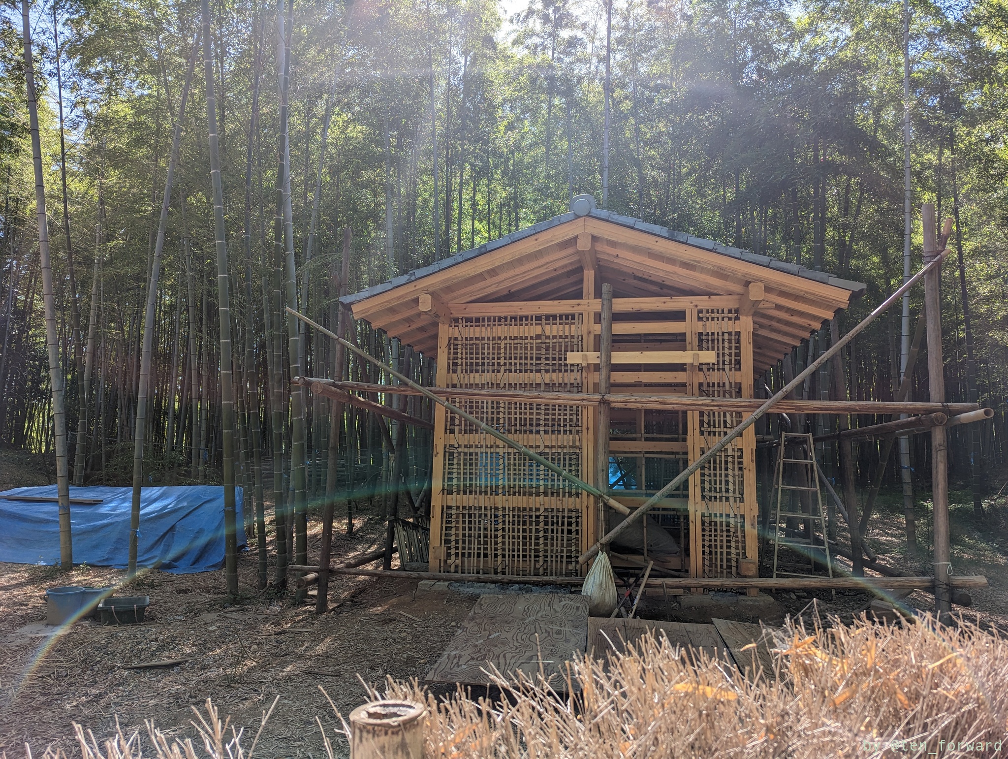 建設中の竹林小屋