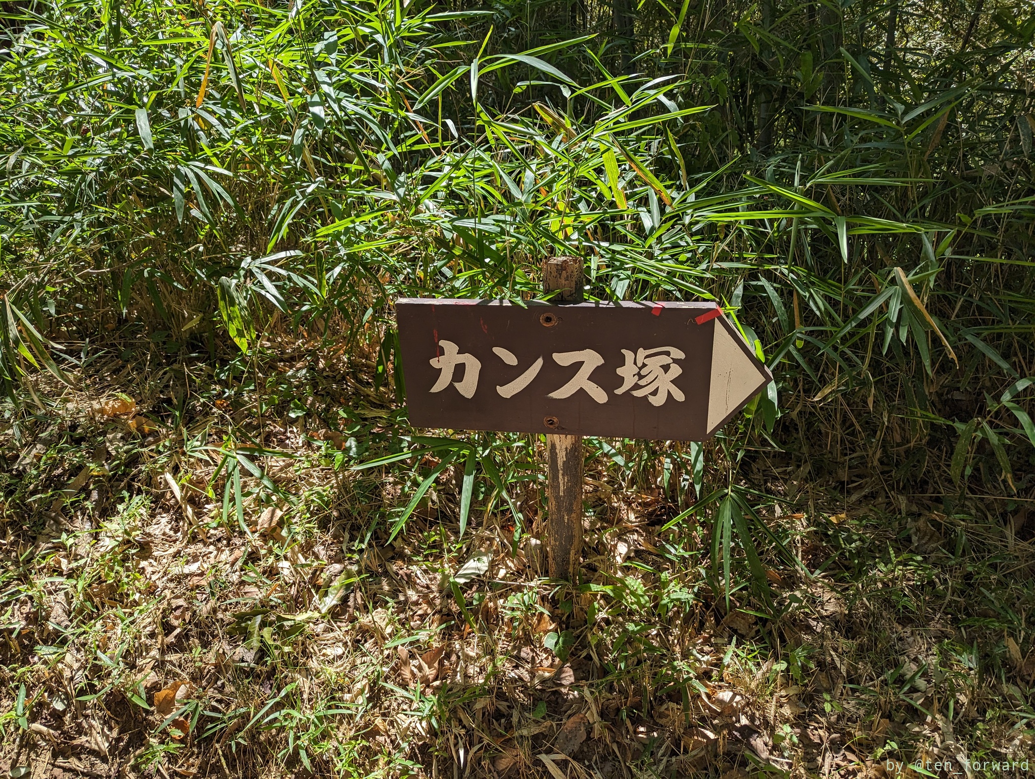 アクセス途中の案内板