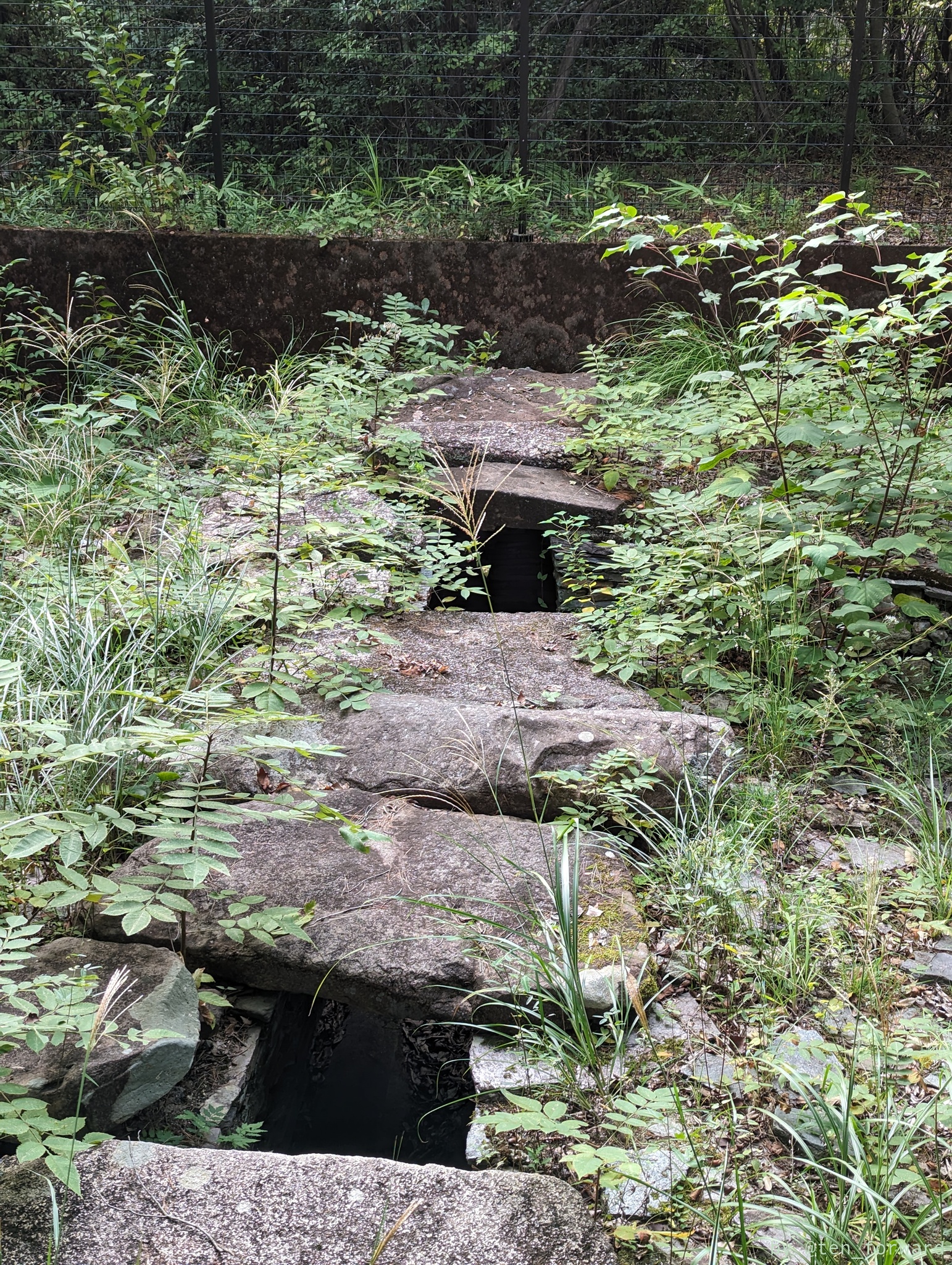 将軍山2号墳移設石室