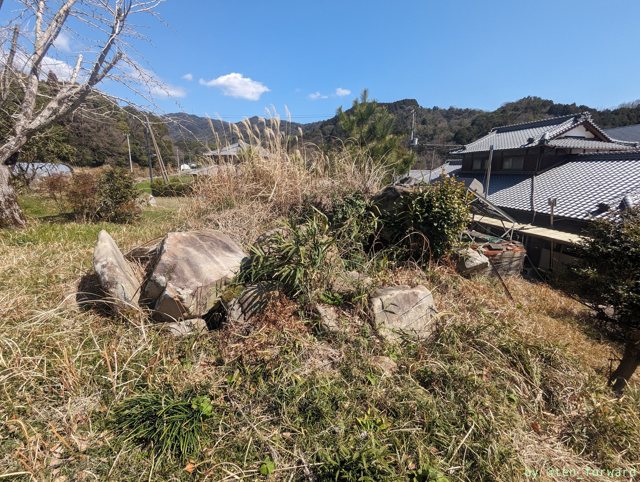 道から見た駄場古墳