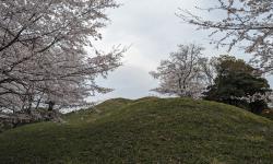 Featured image of post 新沢千塚古墳群公園