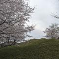 新沢千塚古墳群公園