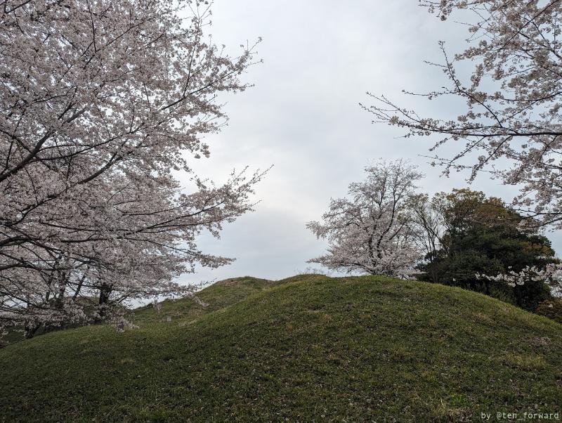Featured image of post 新沢千塚古墳群公園