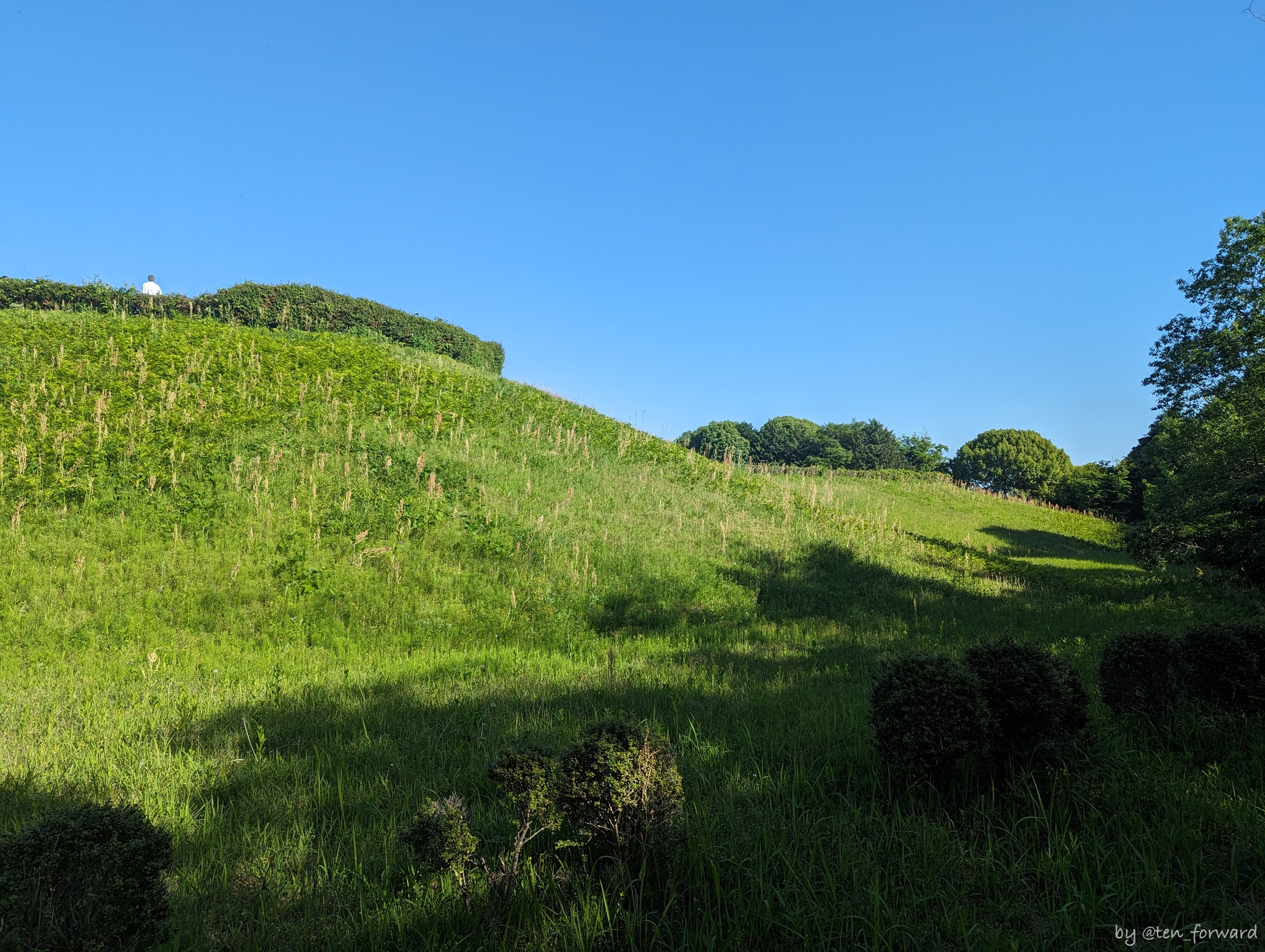 ナガレ山古墳西側から