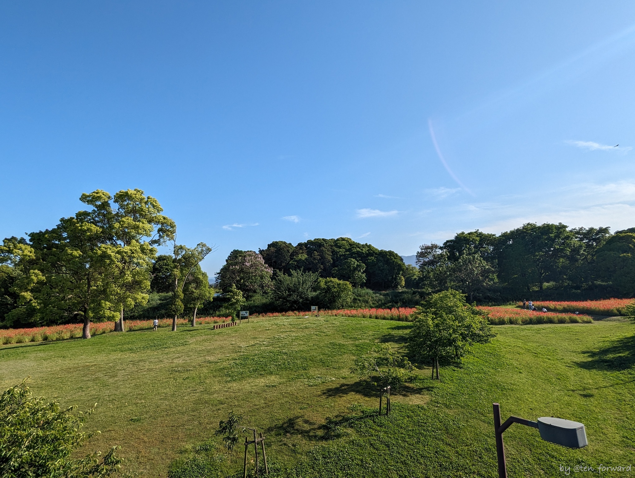 公園中央エリアから南側エリアと巣山古墳を望む