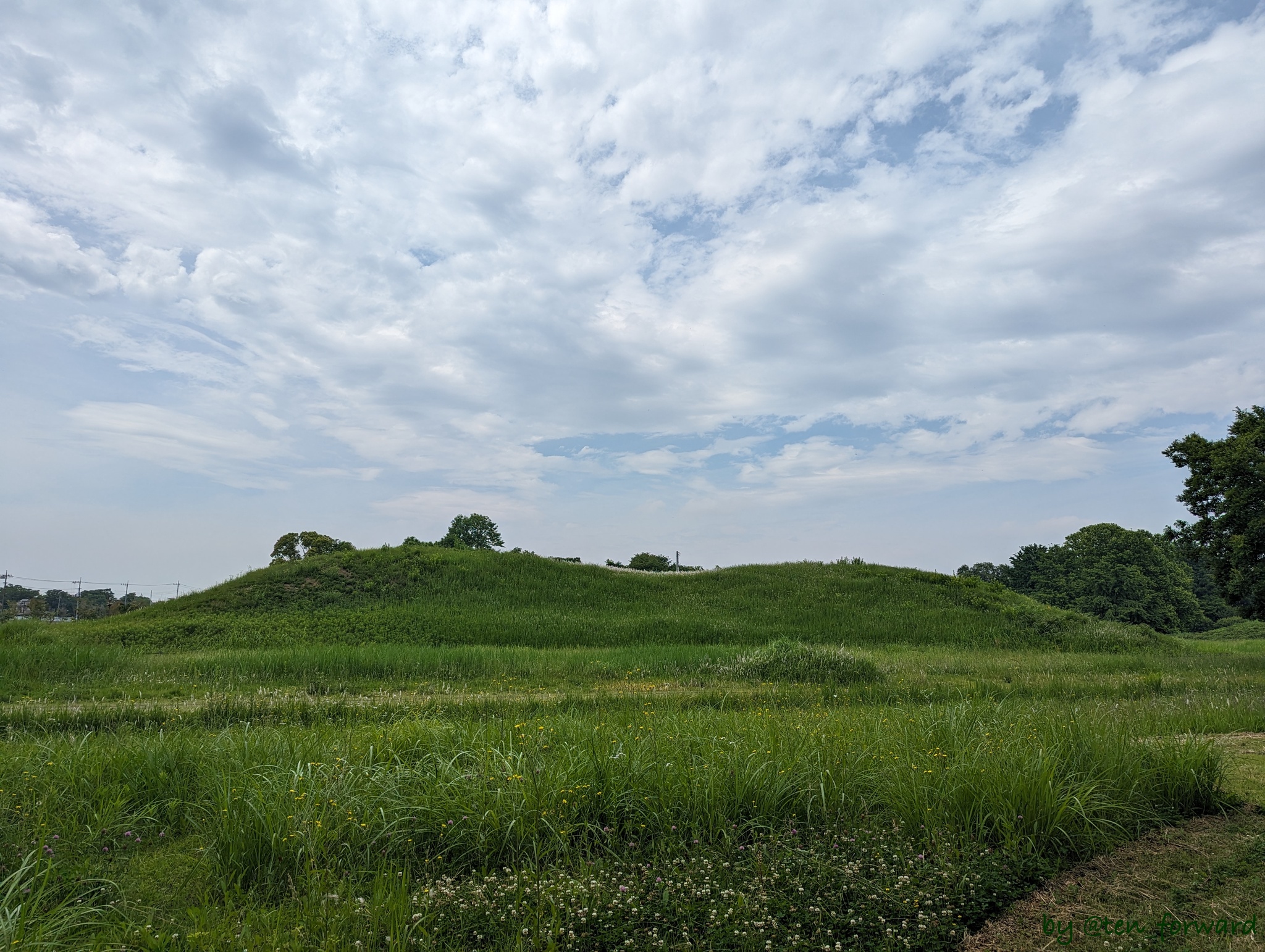 奥の山古墳