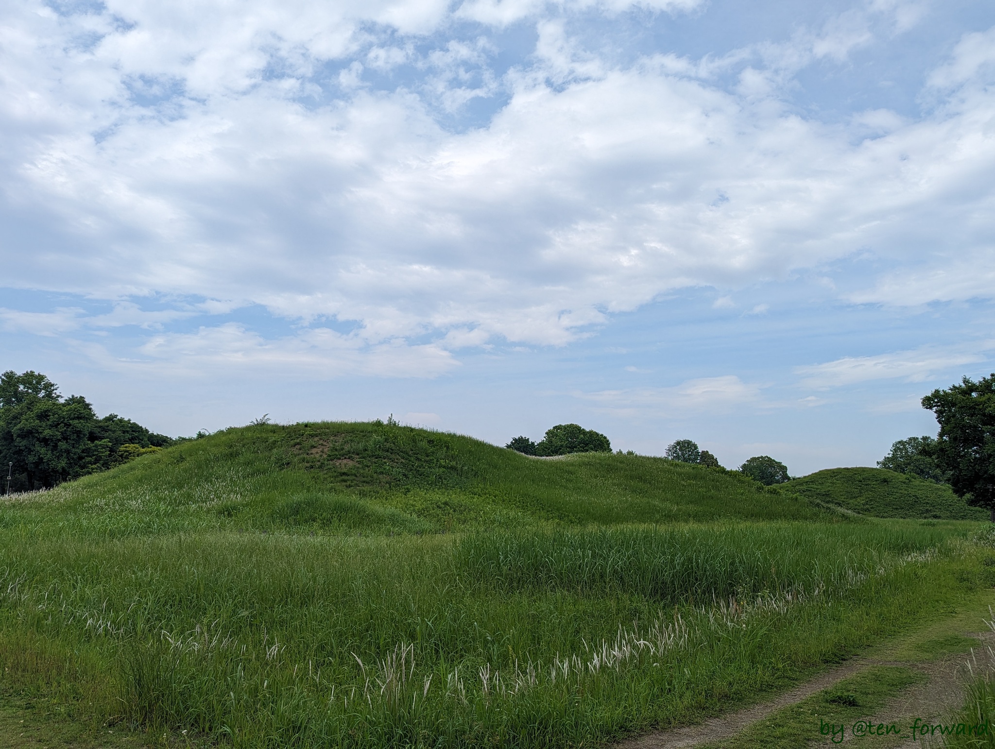 奥の山古墳（奥は鉄砲山古墳）