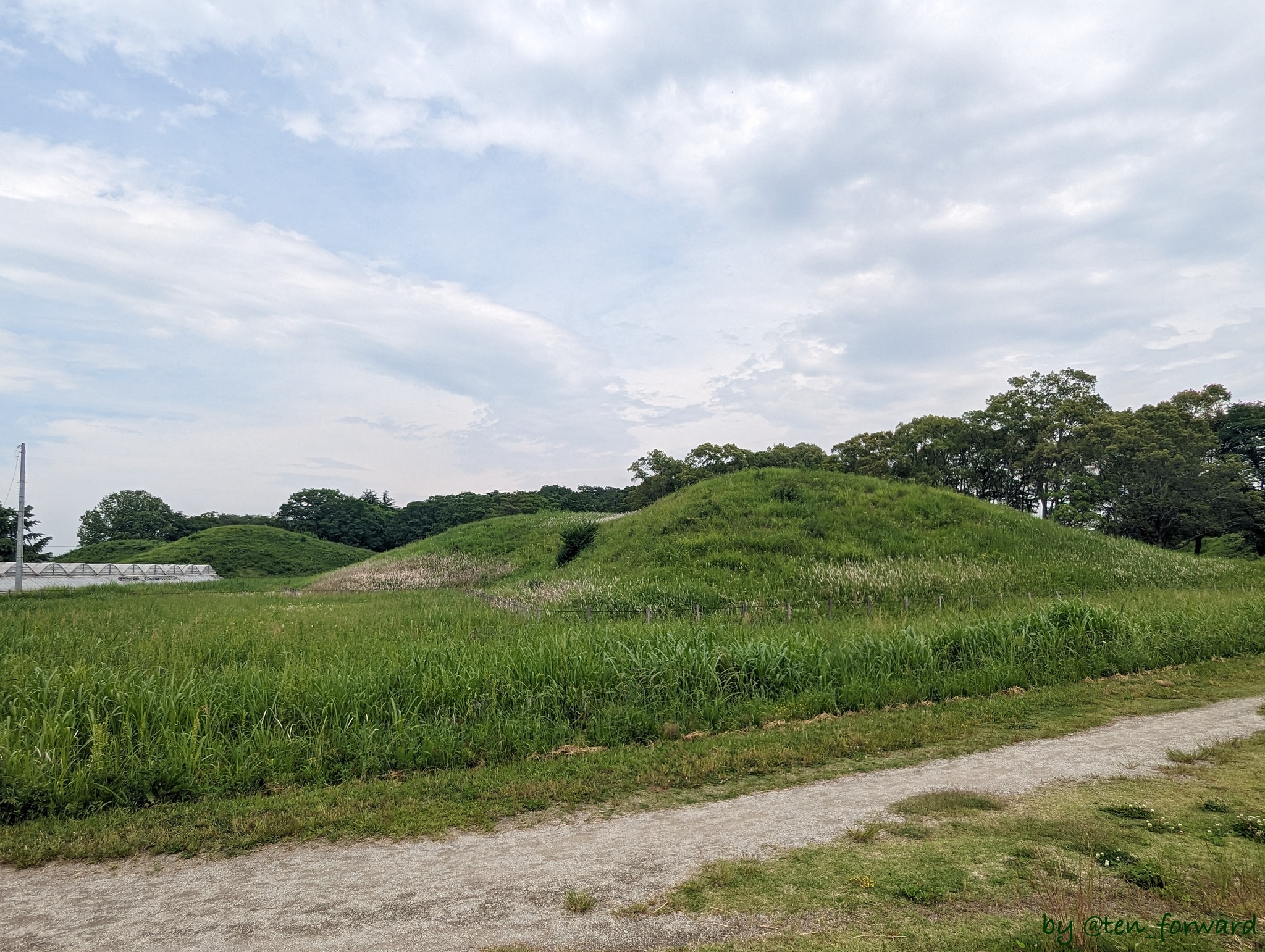 奥の山古墳（奥は鉄砲山古墳）