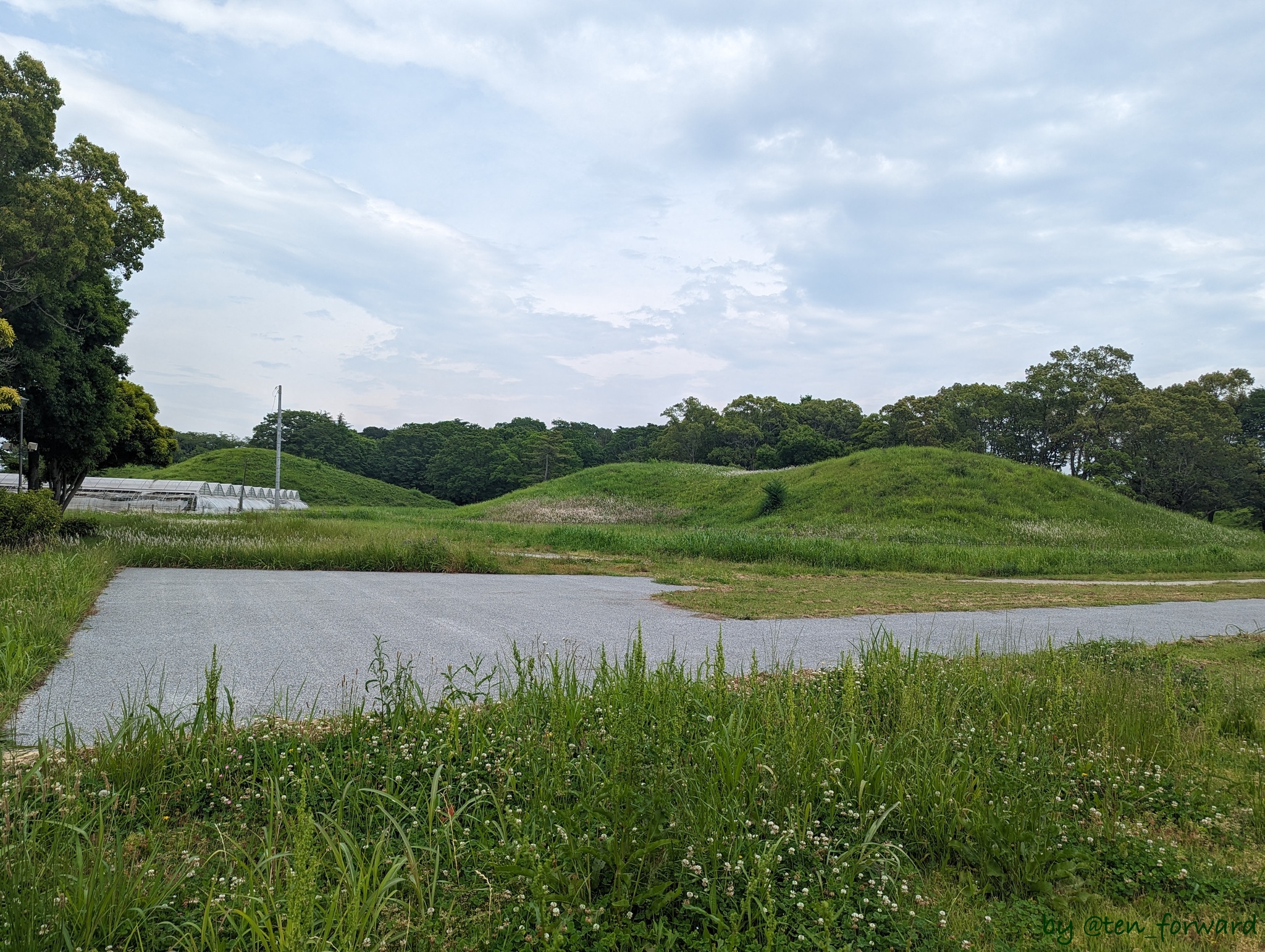 奥の山古墳（手前のコンクリート部分は堀だった部分）