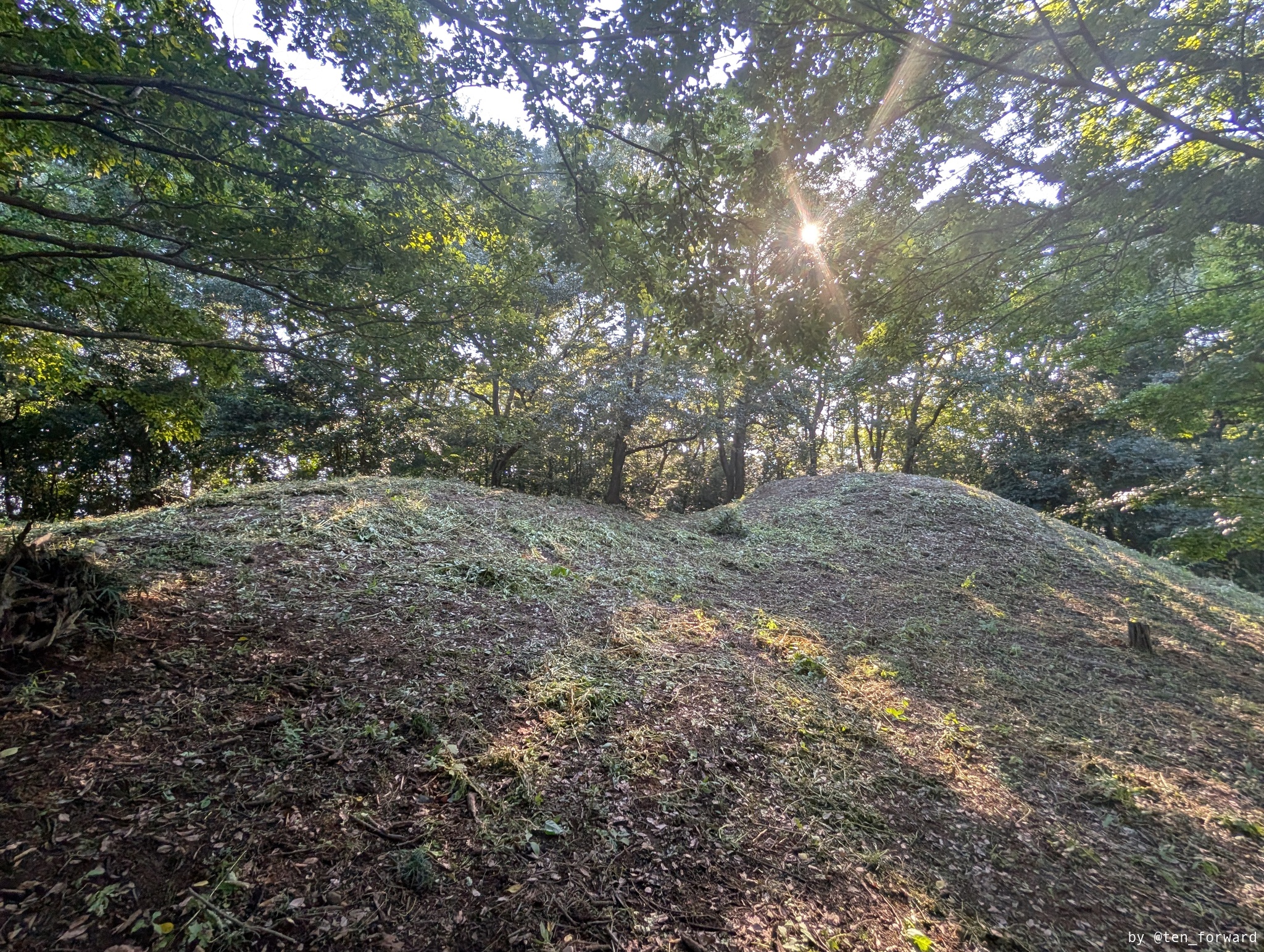 西山古墳