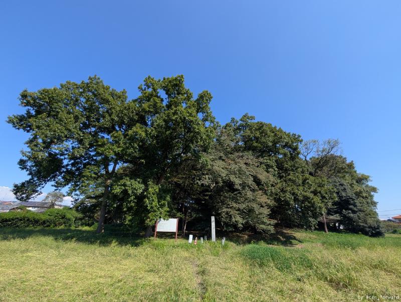 Featured image of post 太田市の古墳（女体山古墳、天神山古墳、塚廻り古墳群、八幡山古墳、円福寺茶臼山古墳、寺山古墳、北山古墳、西山古墳）