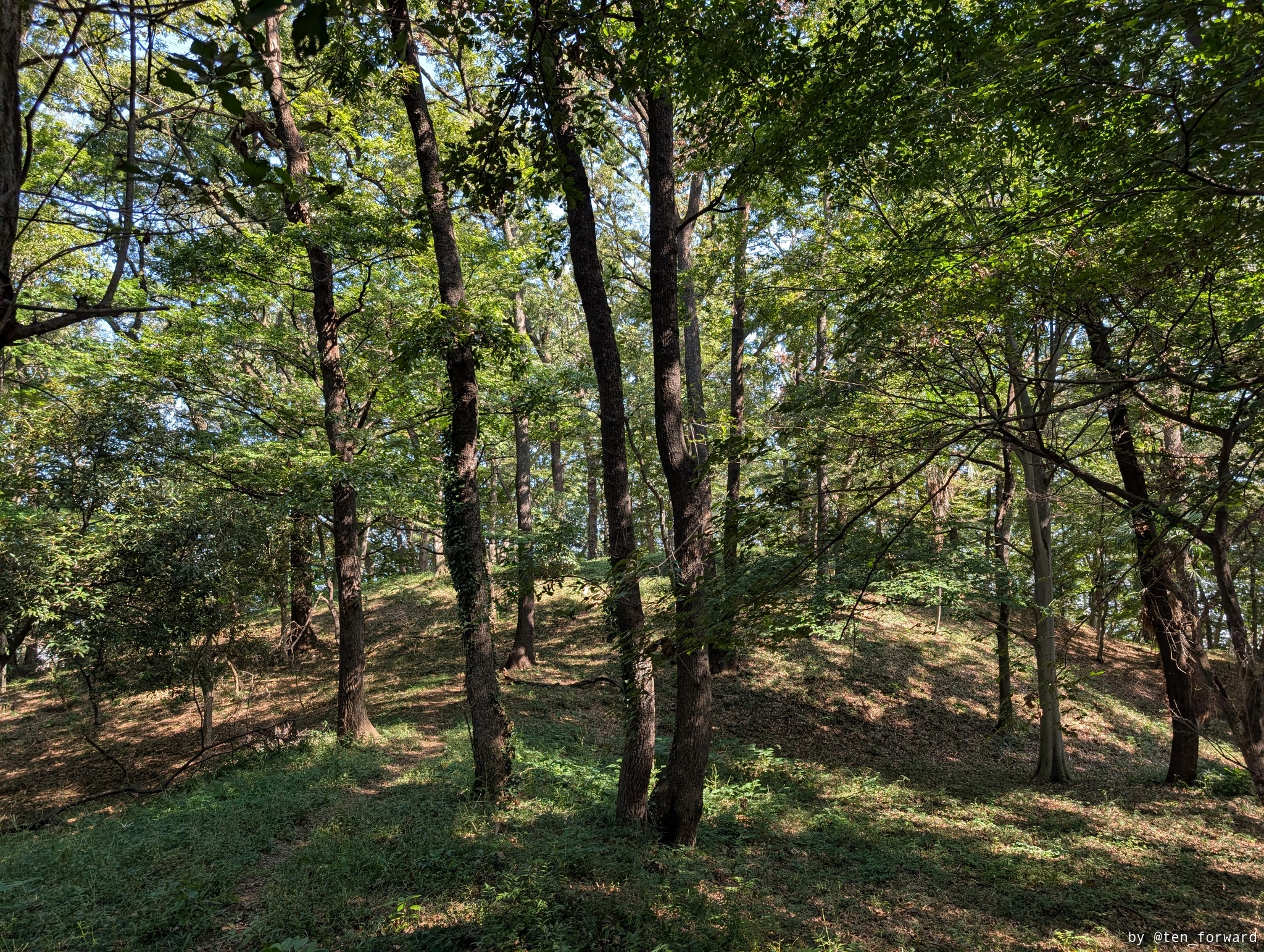 天神山古墳後円部を望む