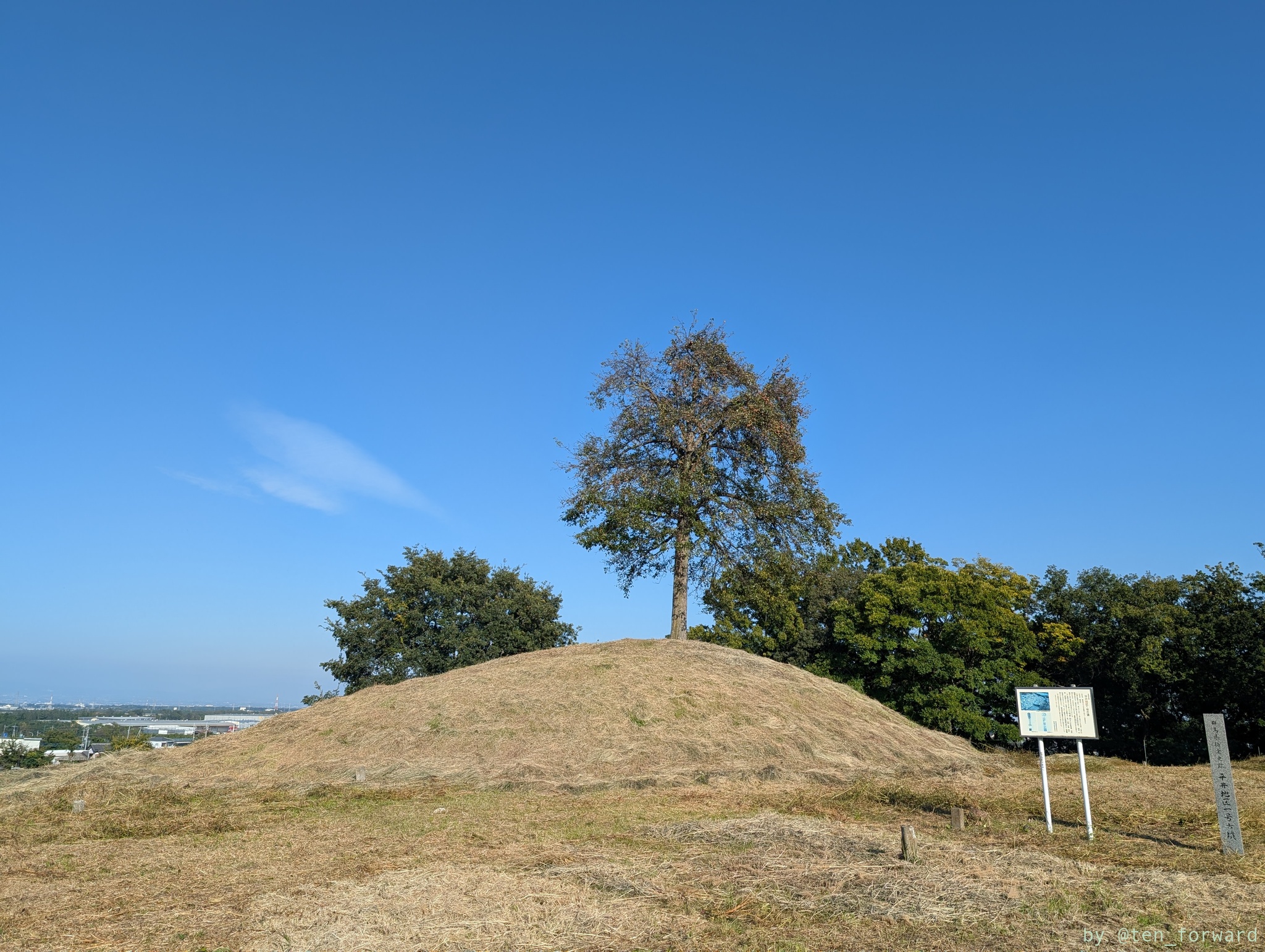 平井地区1号墳