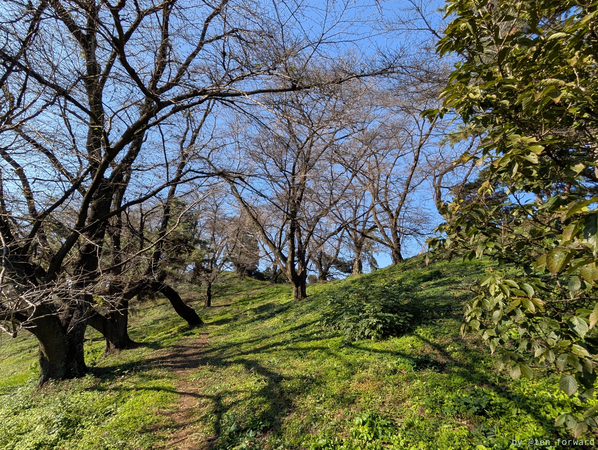 七輿山古墳