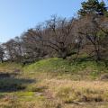 白石古墳群