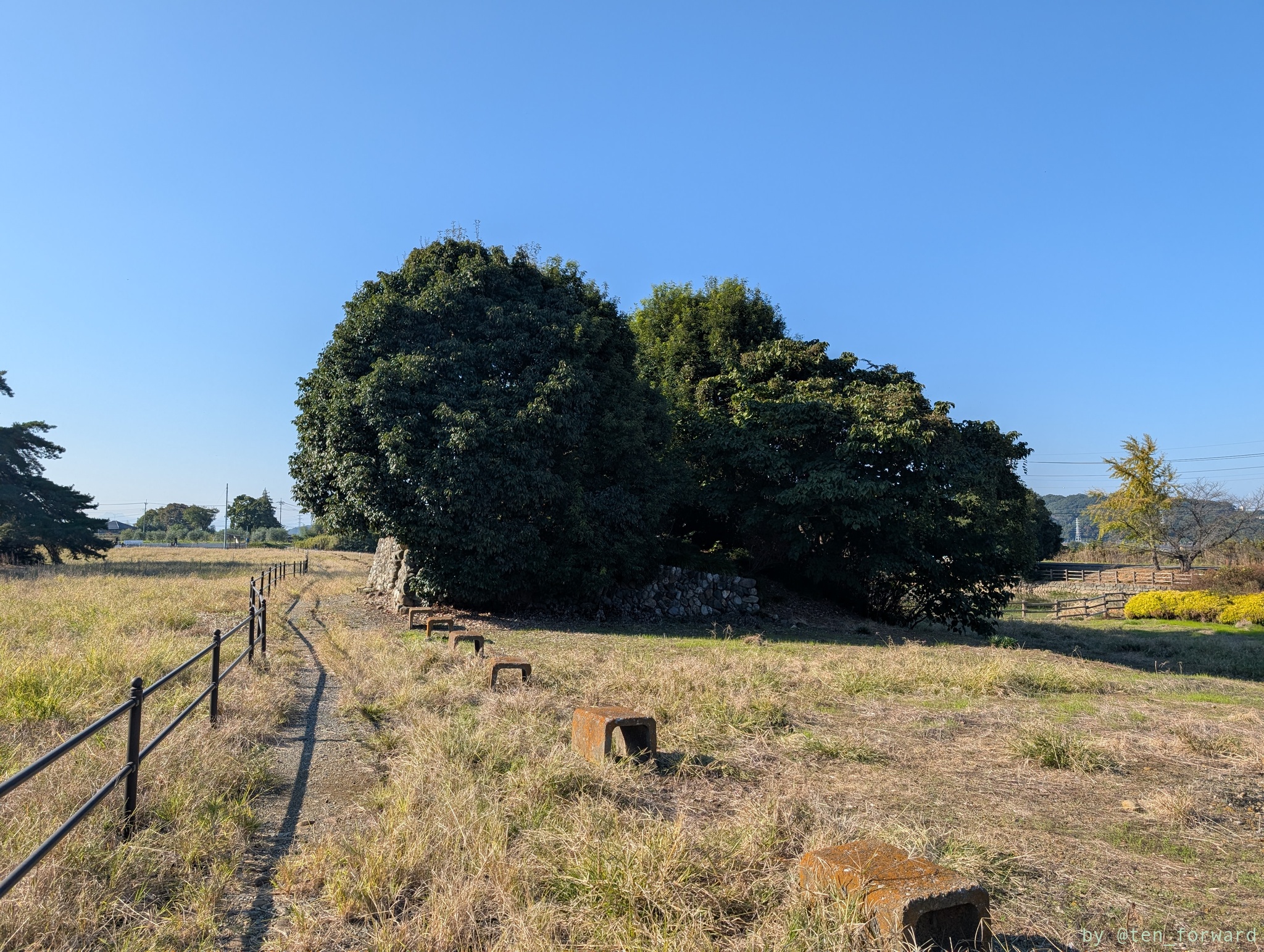 美土里村51号古墳