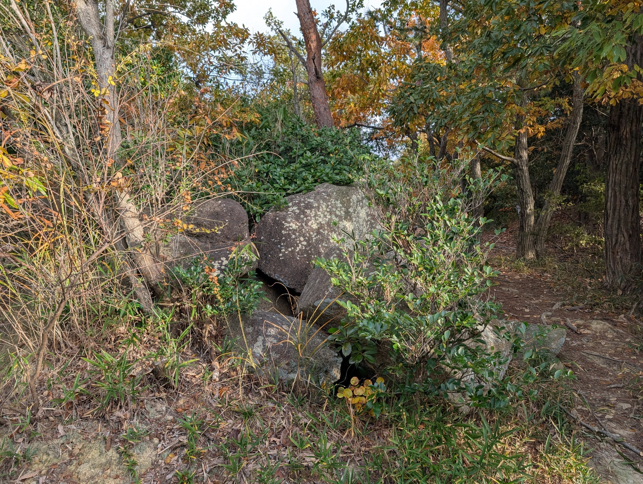 舞子古墳群1号墳