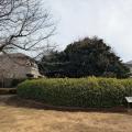 世田谷・狛江の古墳（稲荷塚、第六天塚、土屋塚古墳）