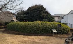 Featured image of post 世田谷・狛江の古墳（稲荷塚、第六天塚、土屋塚古墳）