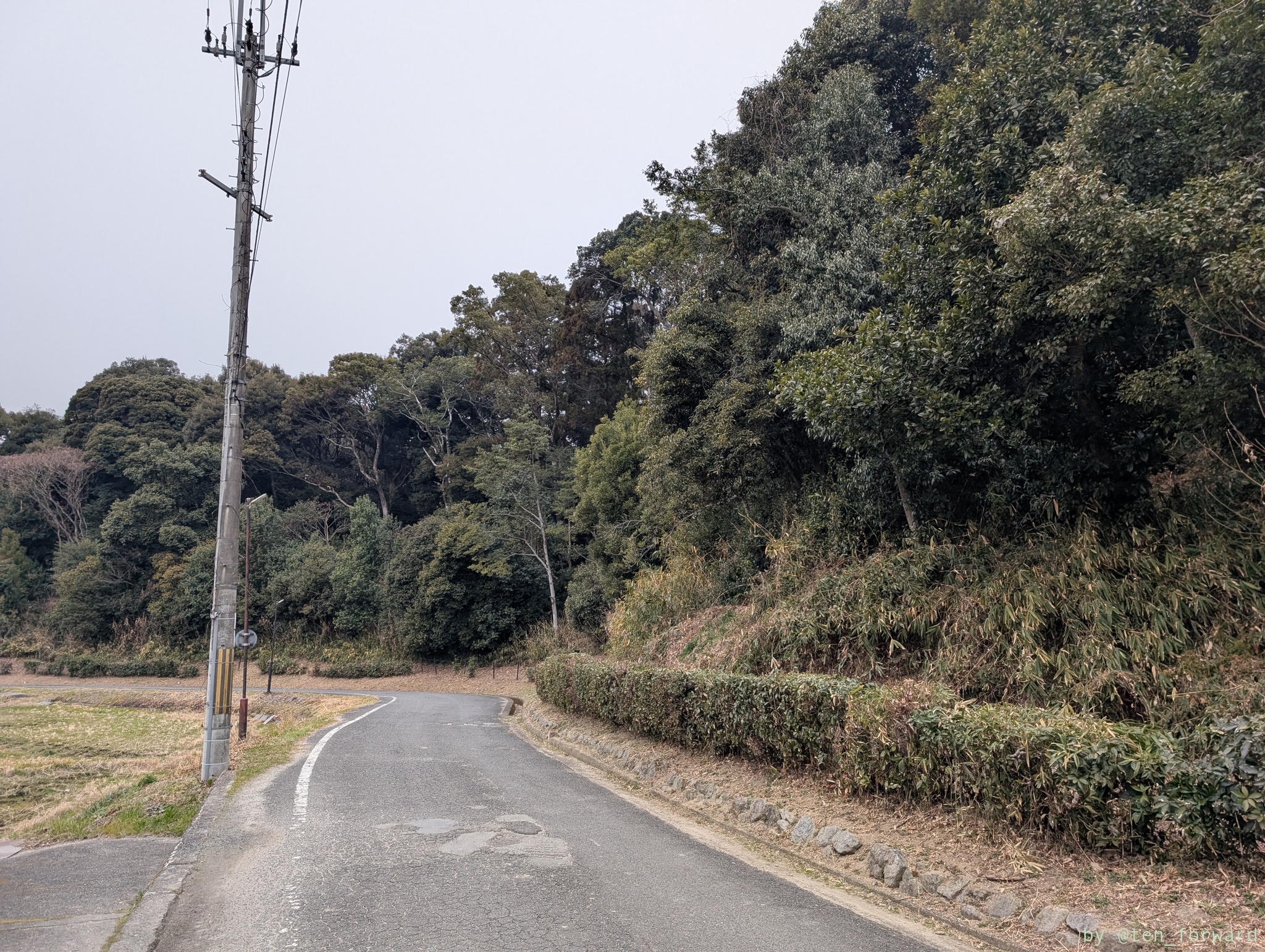 箸墓古墳南から