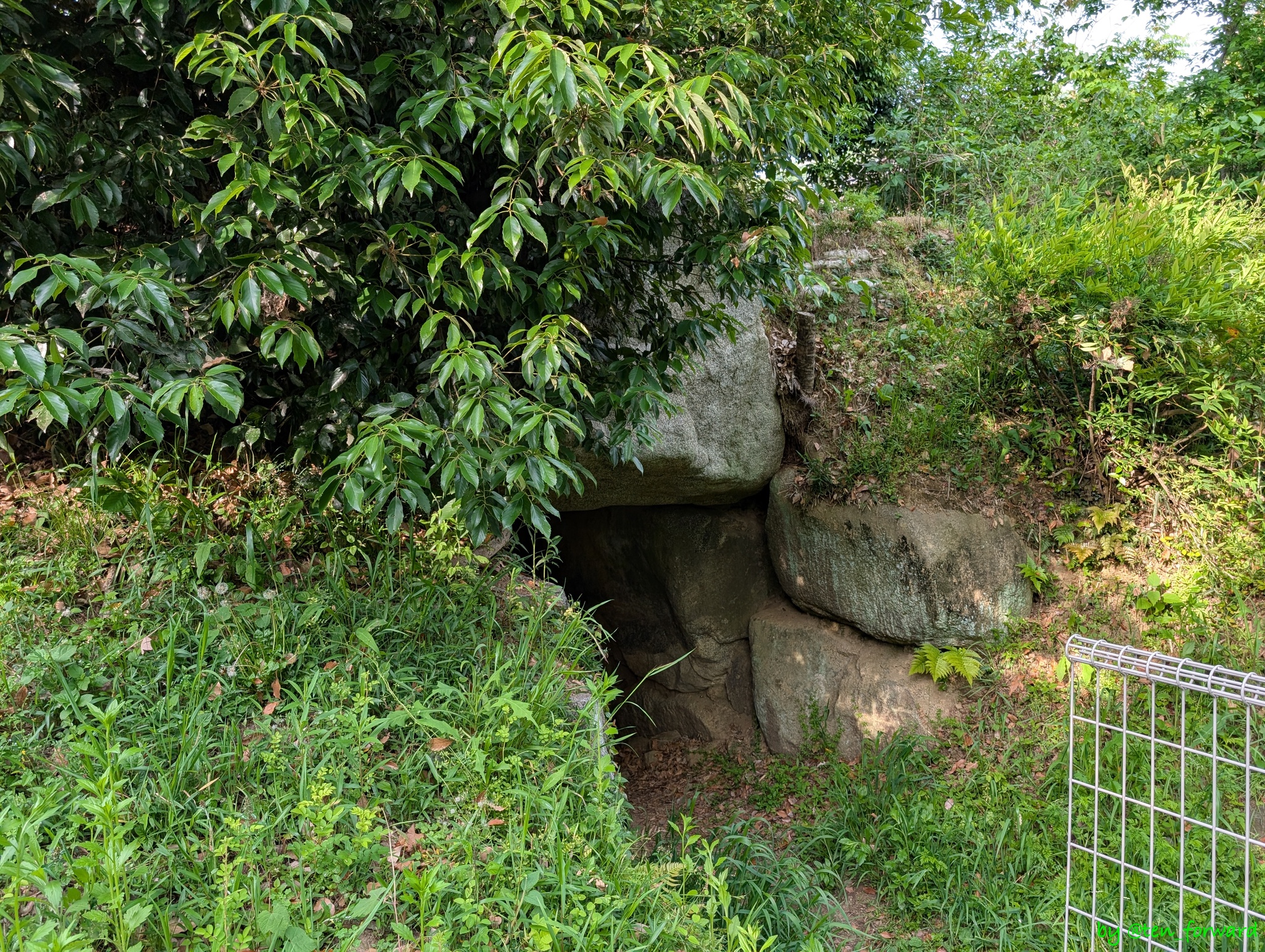 愛宕塚古墳開口部