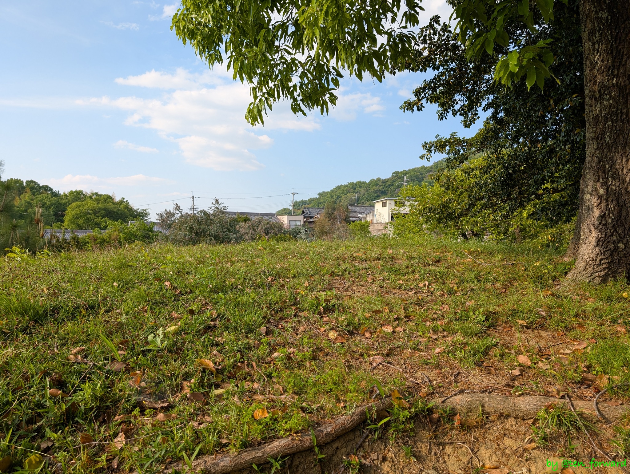 愛宕塚古墳墳丘