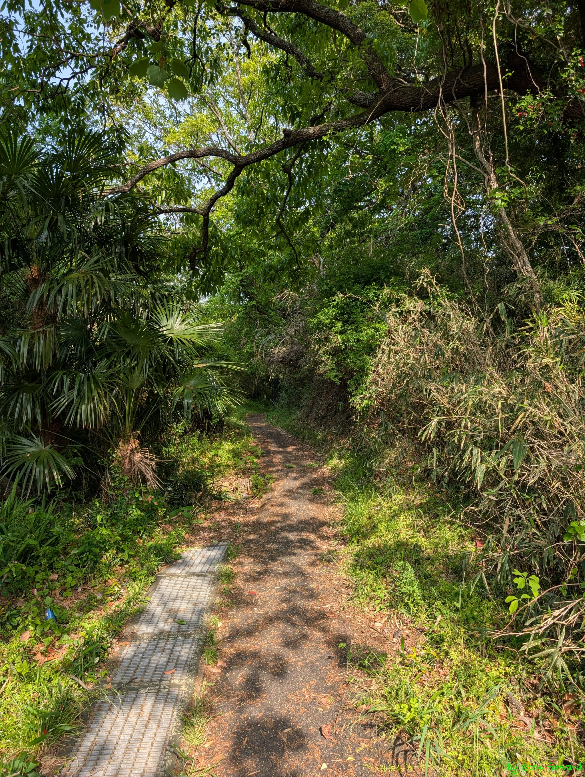 愛宕塚古墳への道