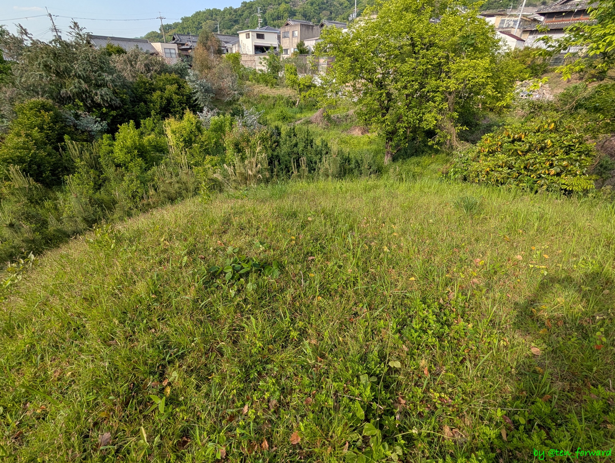 愛宕塚古墳墳丘