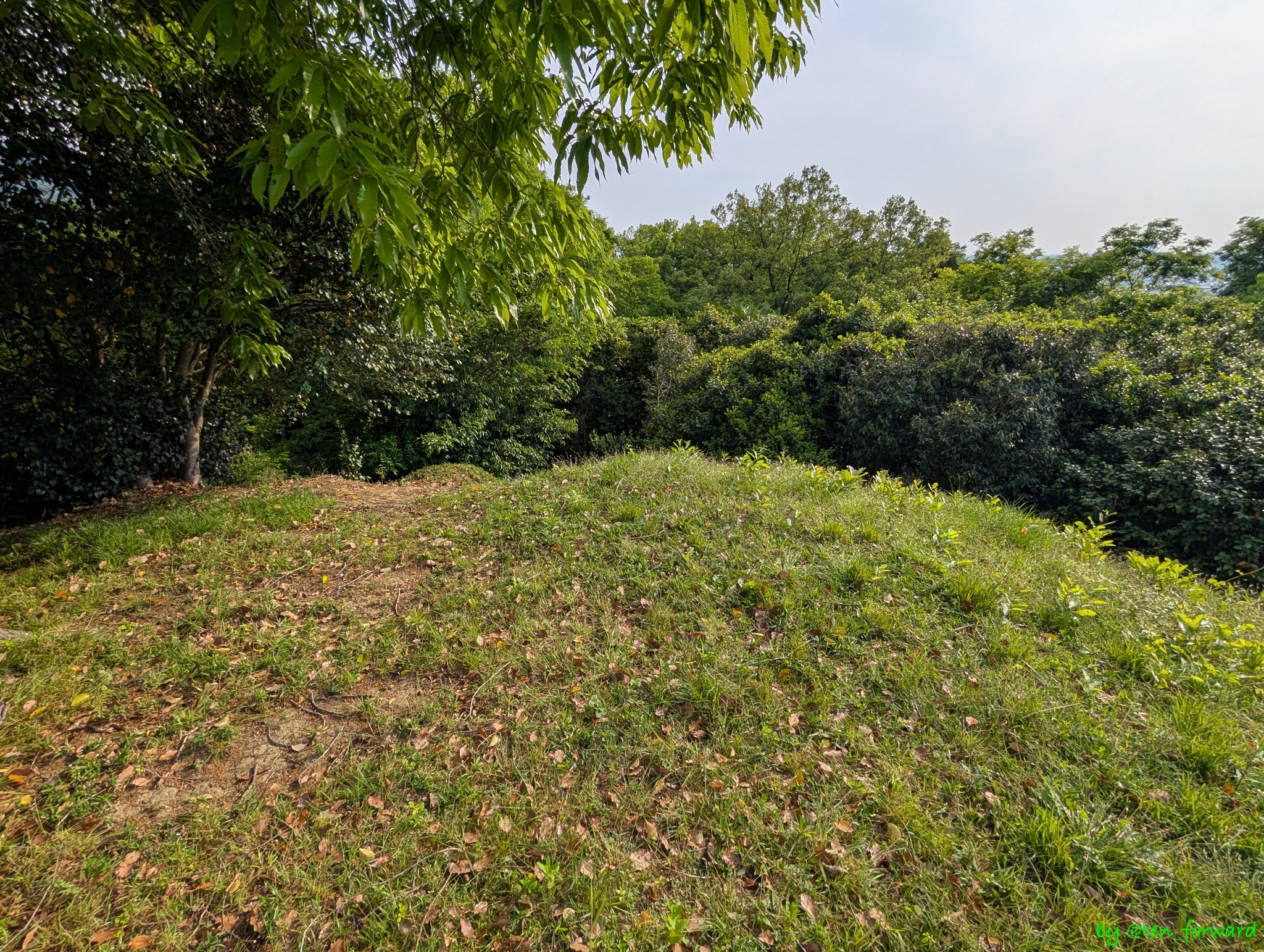 愛宕塚古墳墳丘