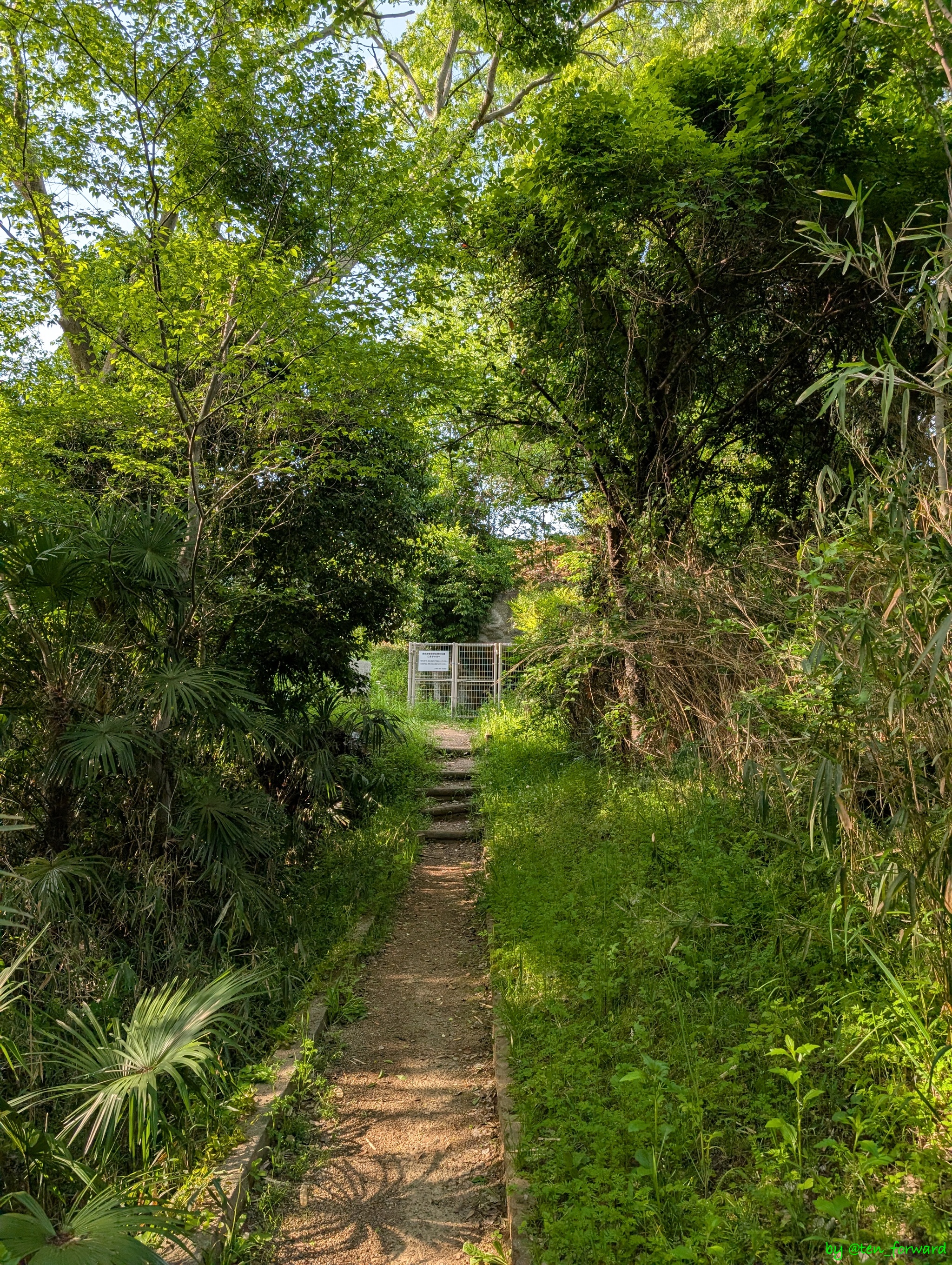 愛宕塚古墳への道