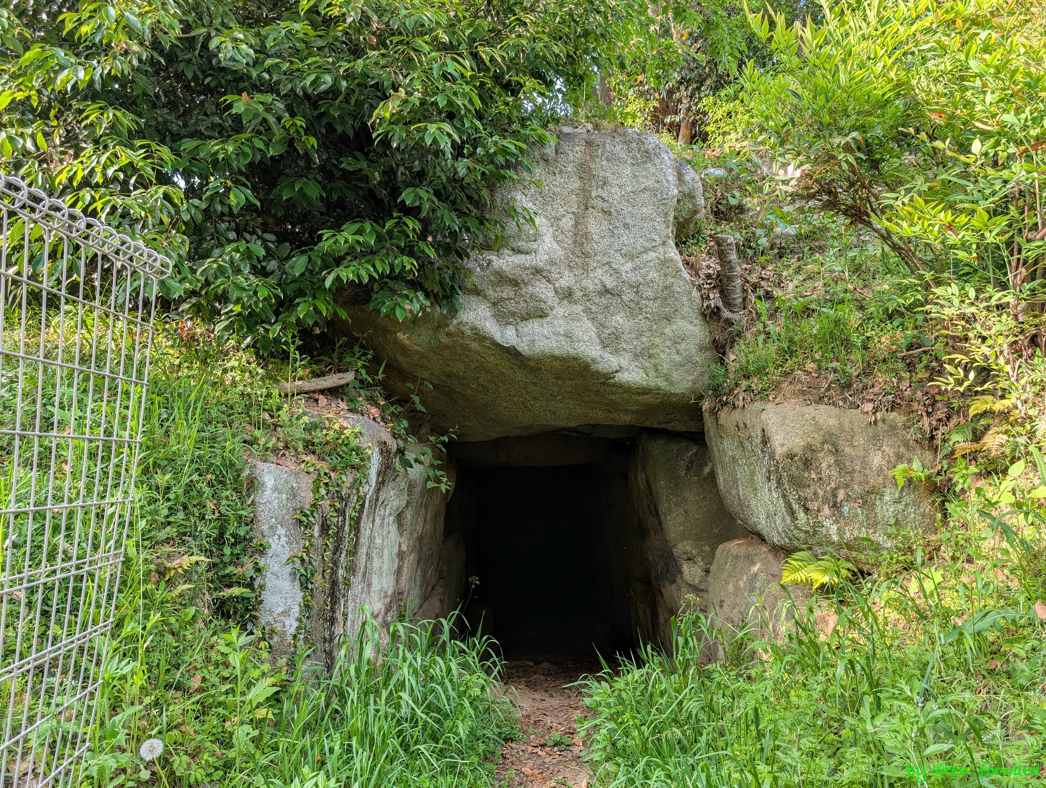 愛宕塚古墳開口部