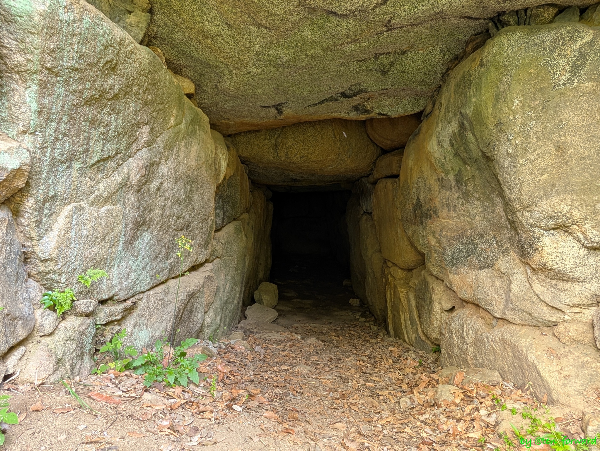 愛宕塚古墳開口部