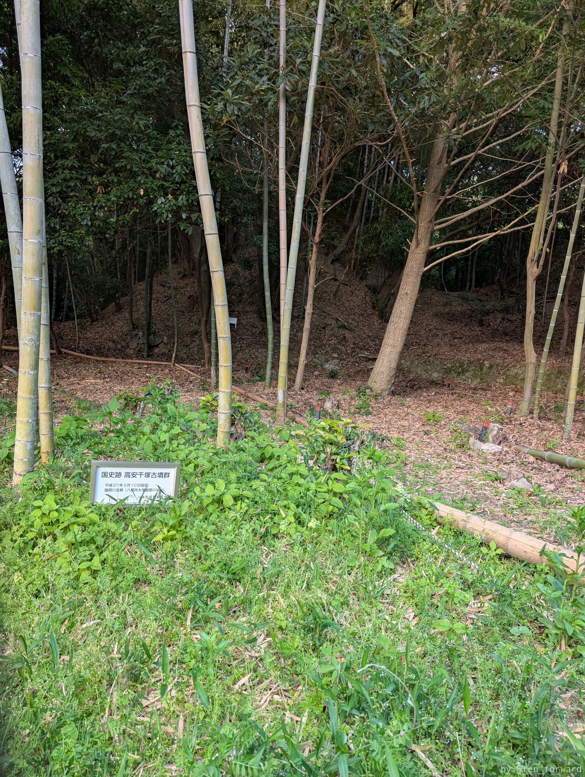 何号墳かわからない古墳