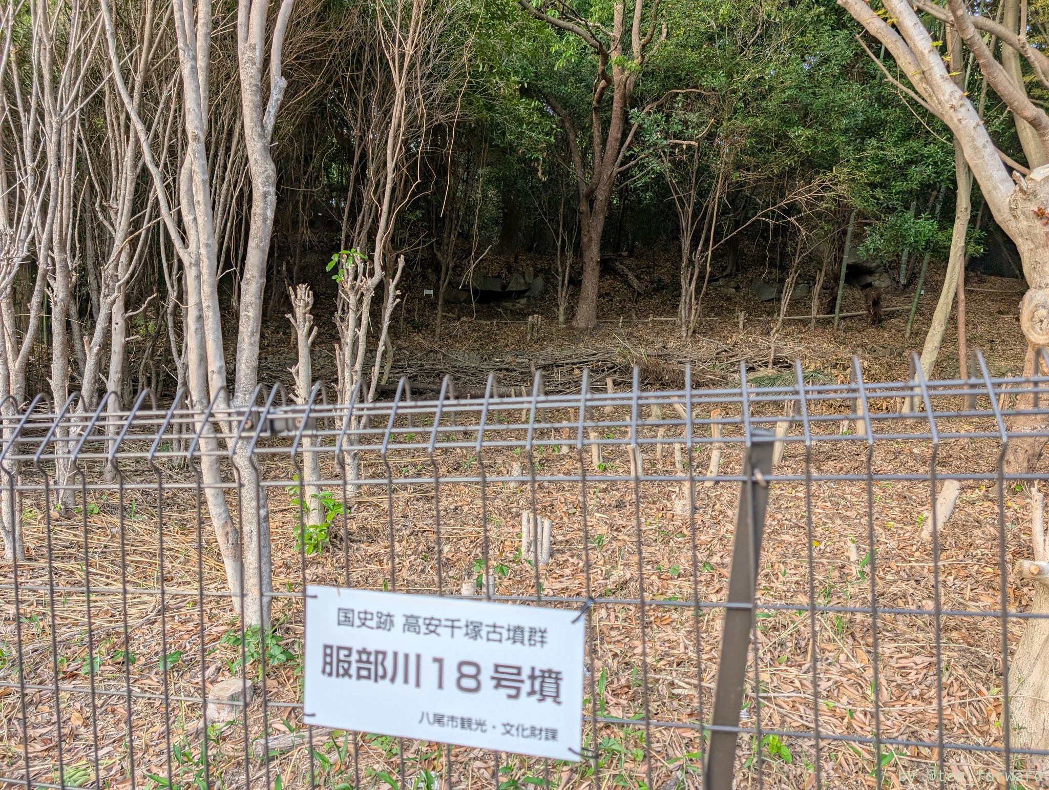 服部川 18 号墳