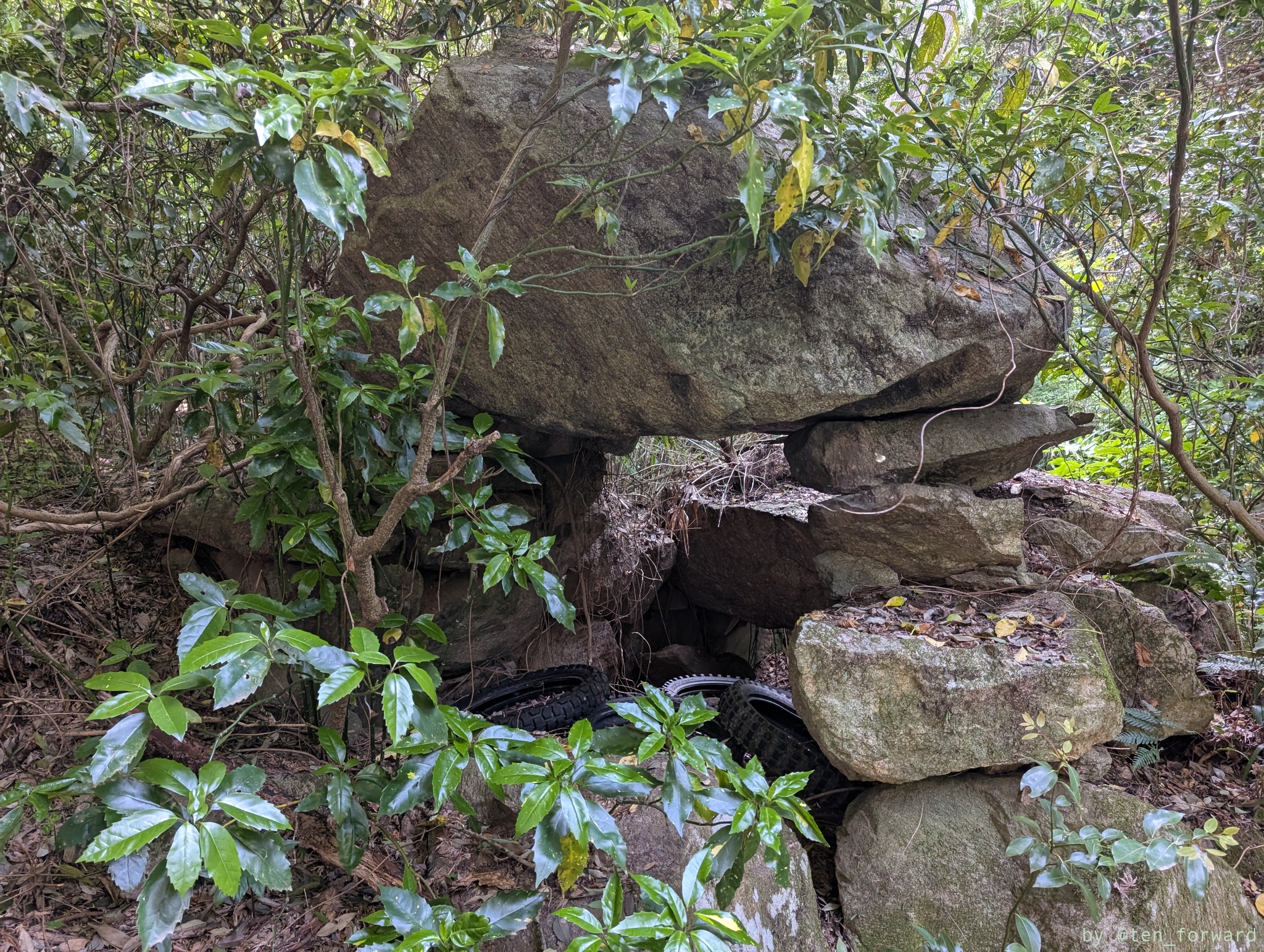 服部川 72 号墳