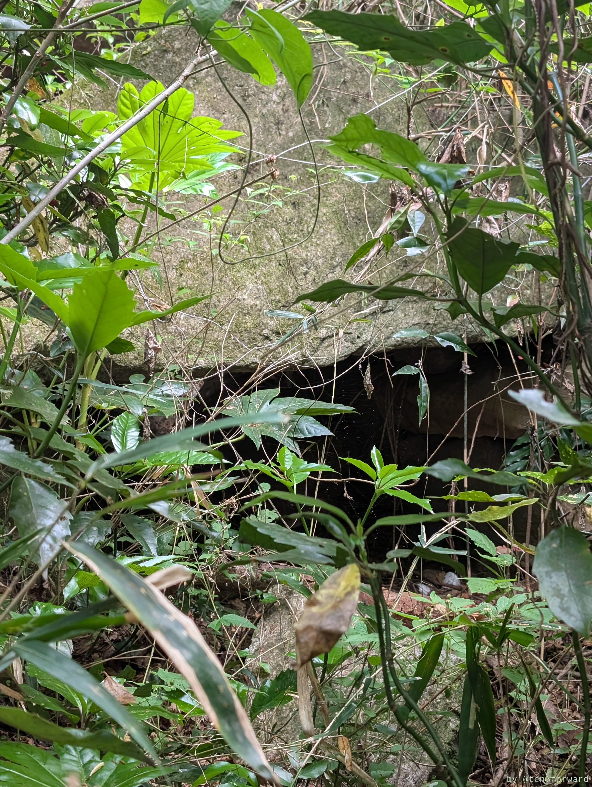 服部川 72 号墳