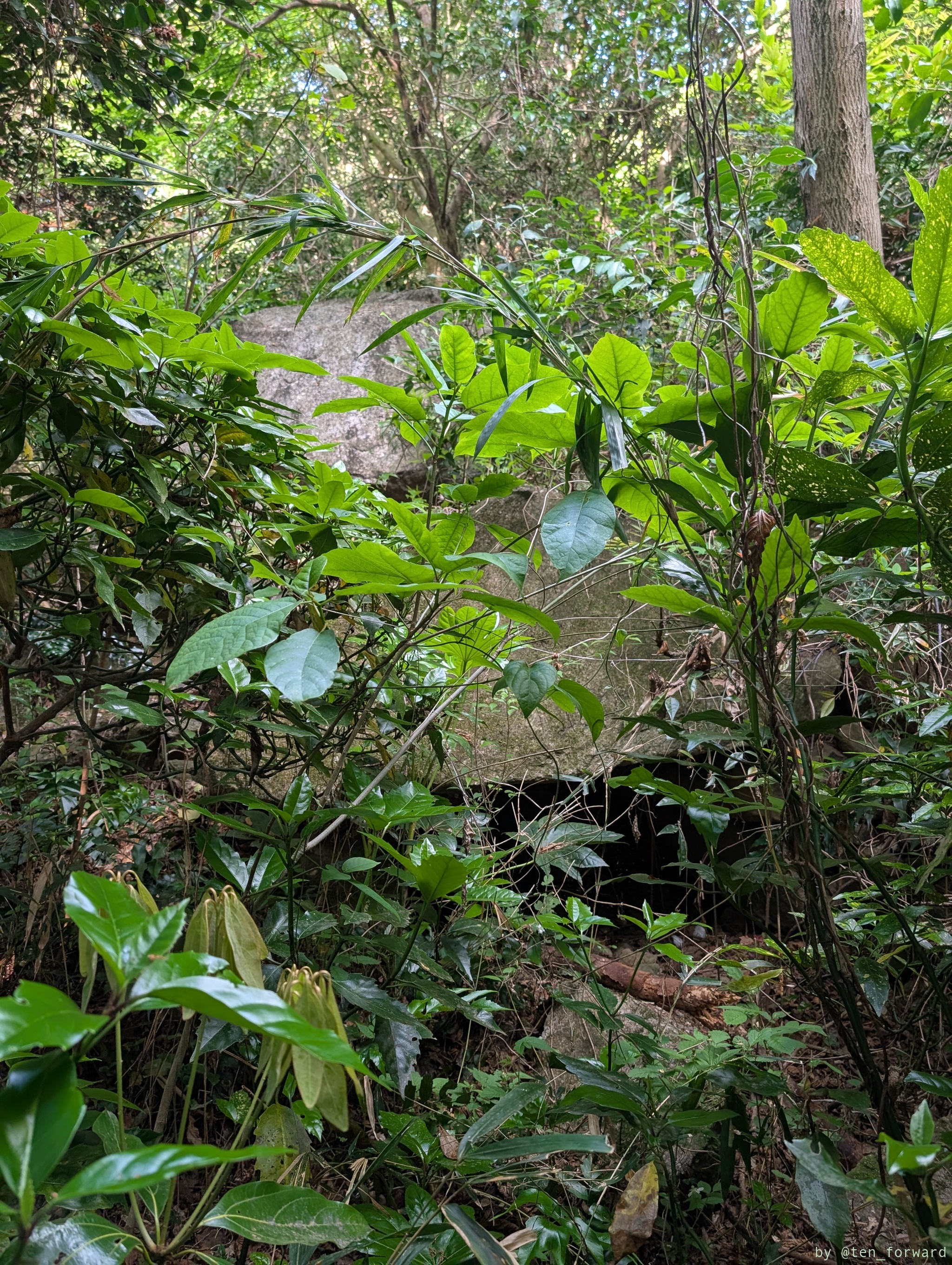 服部川 72 号墳